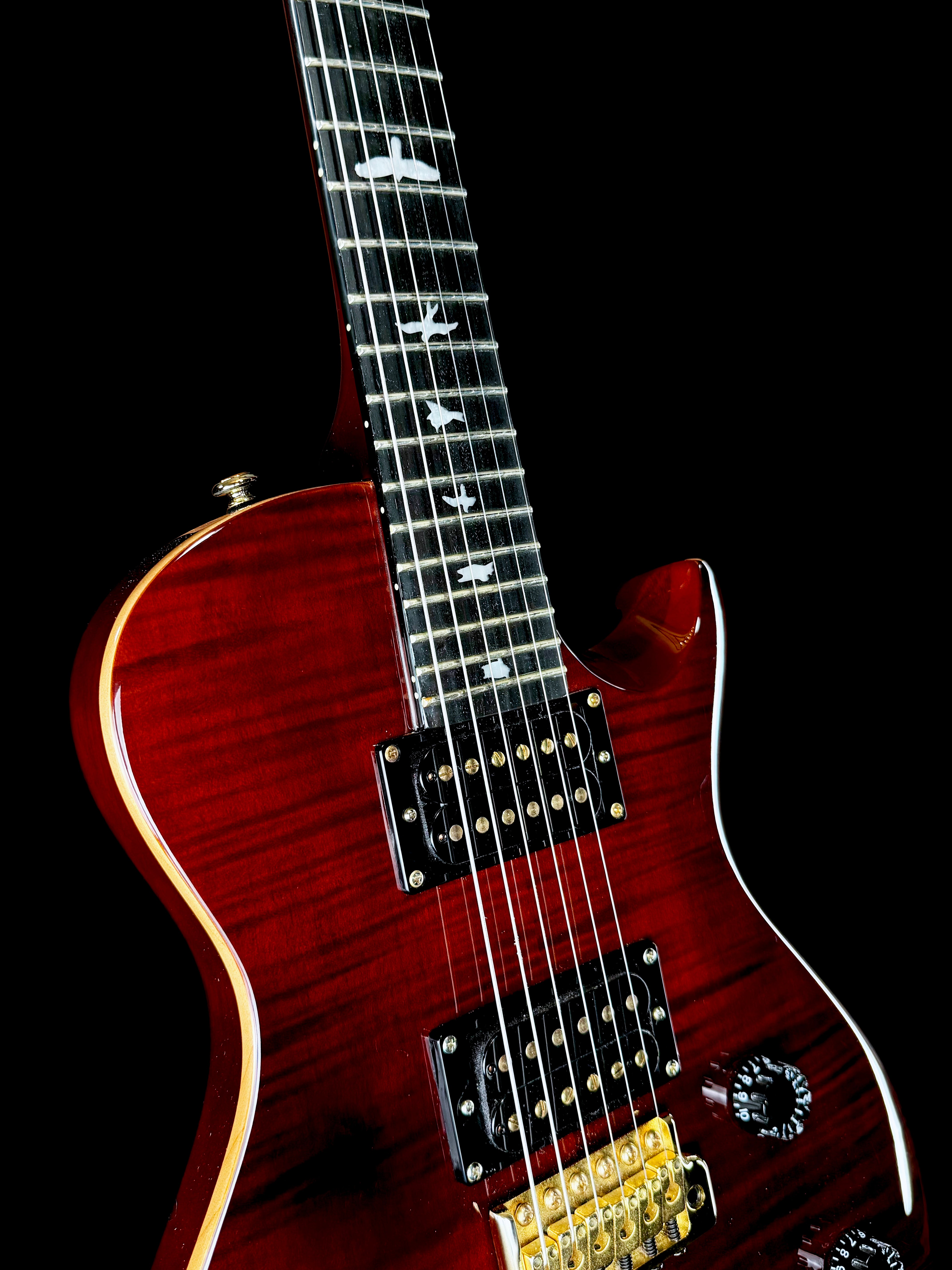 PRS SE Mikael Akerfeldt | Tortoise Shell – The Vibrato Bar