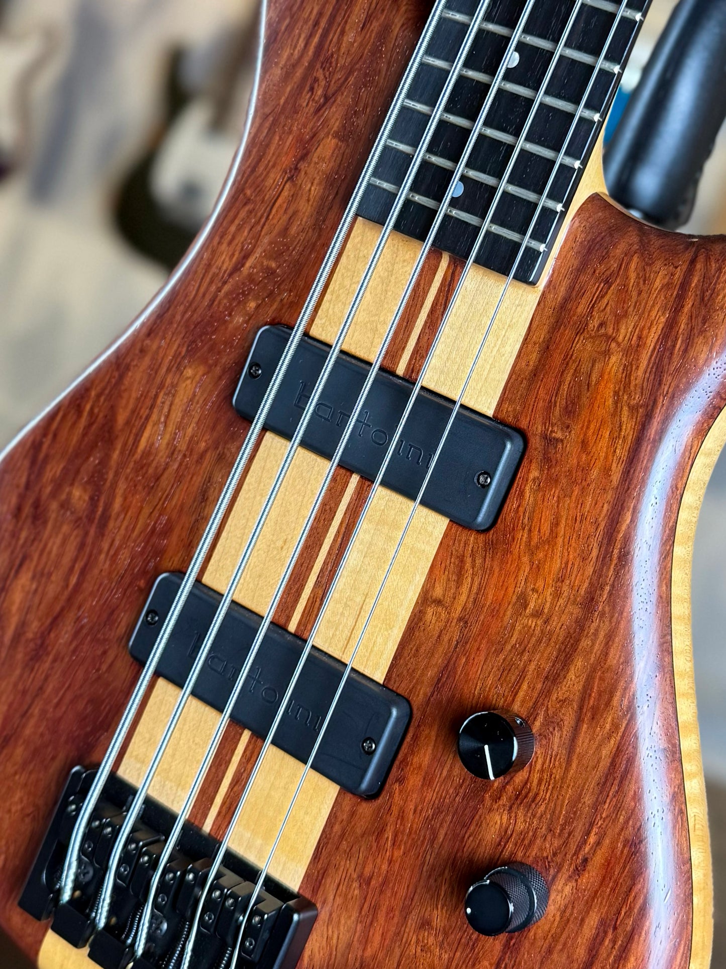 Pedulla Thunderbass 5 String | Cocobolo