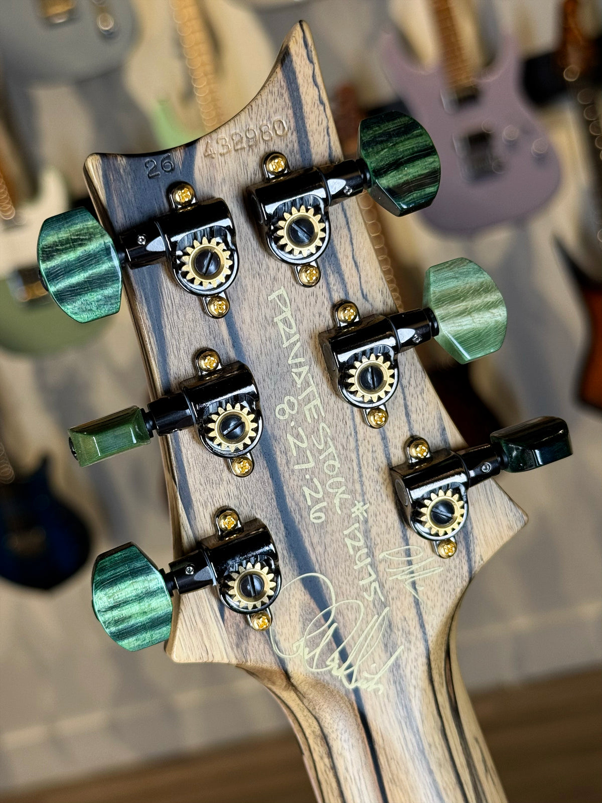 PRS Private Stock Custom 24 | Sage Glow