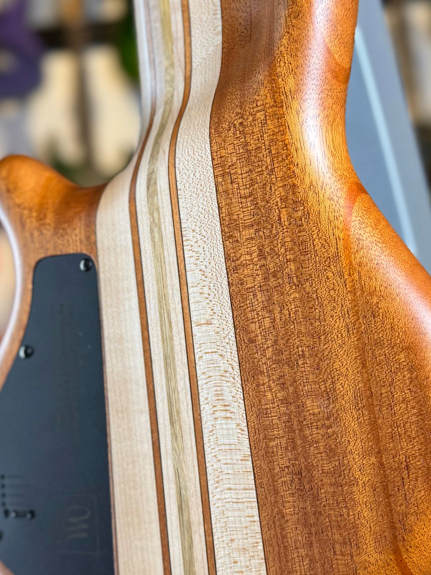 Mayones Cali 4 | Natural Bubinga