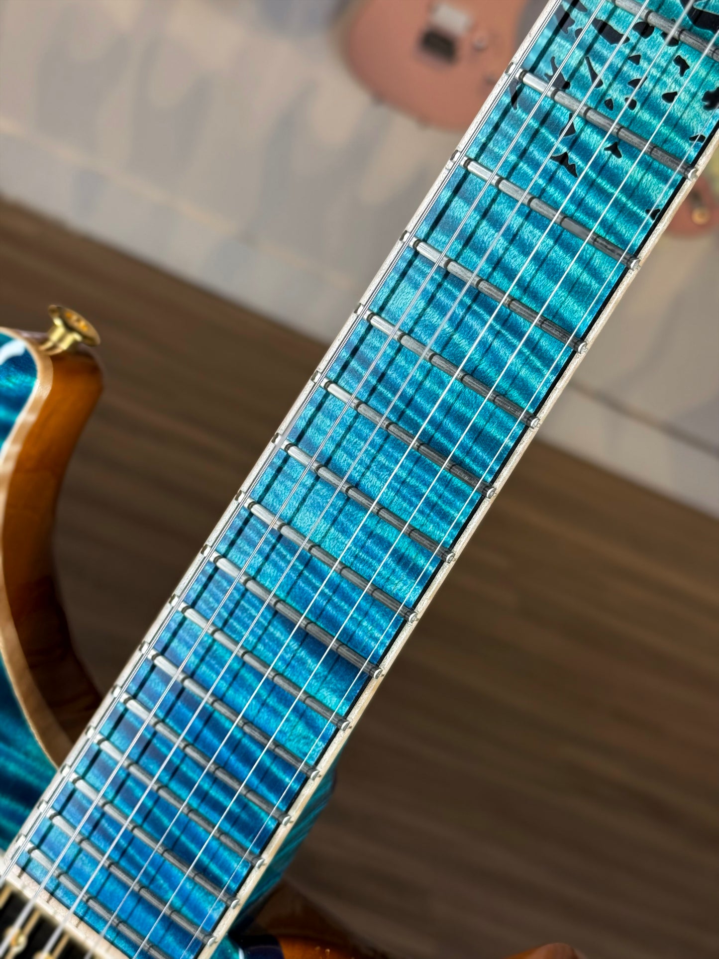 PRS Private Stock McCarty 594 | Laguna Dragon's Breath