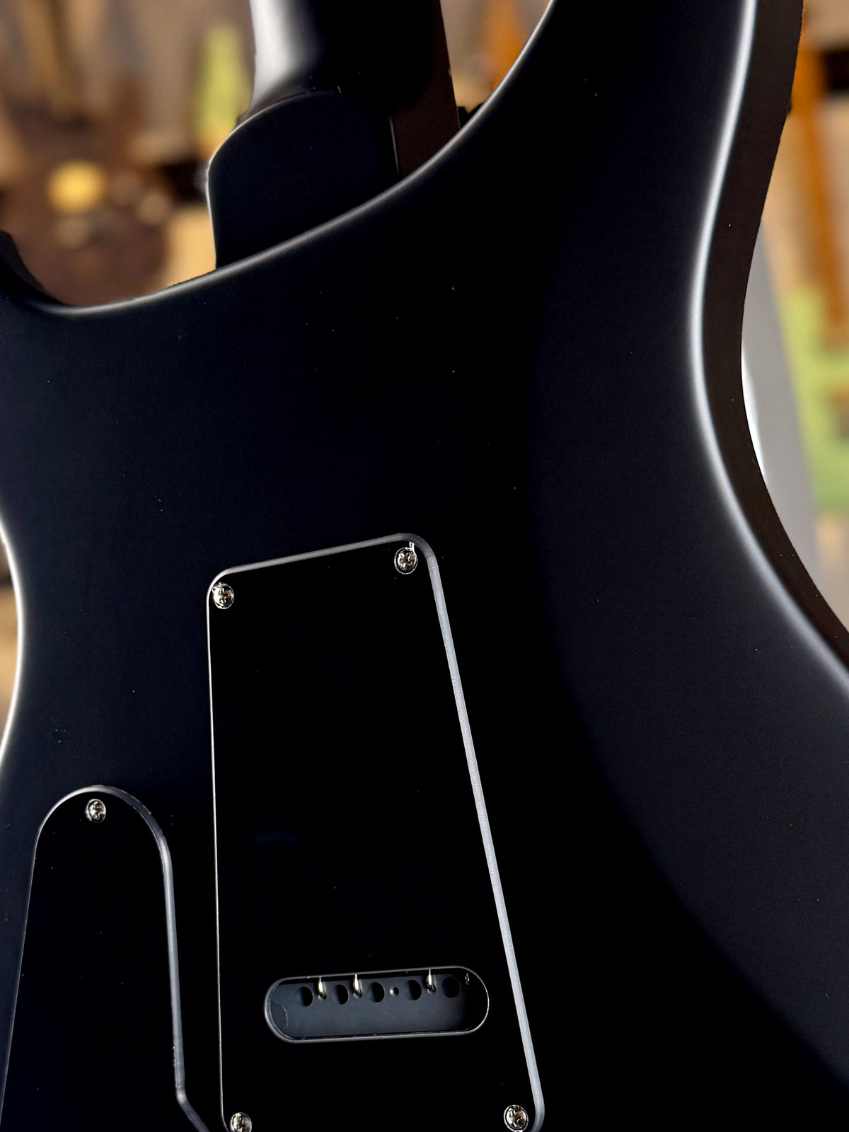 PRS S2 Custom 24 Sprayer's Choice | Chameleon Colorshift Crackle