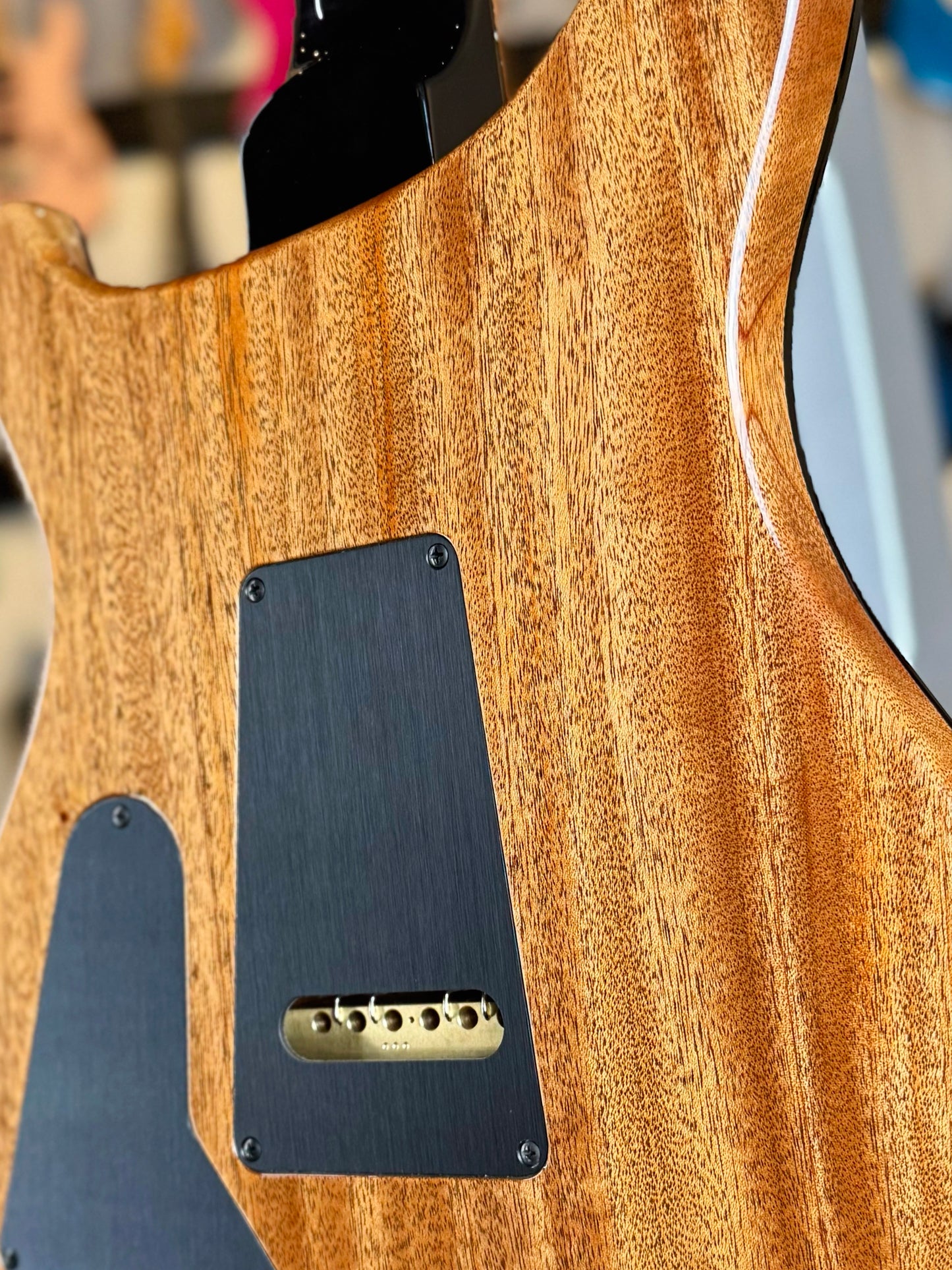 PRS Custom 24-08 "10 Top" Wood Library Limited Edition | Private Stock Sage/Natural Back