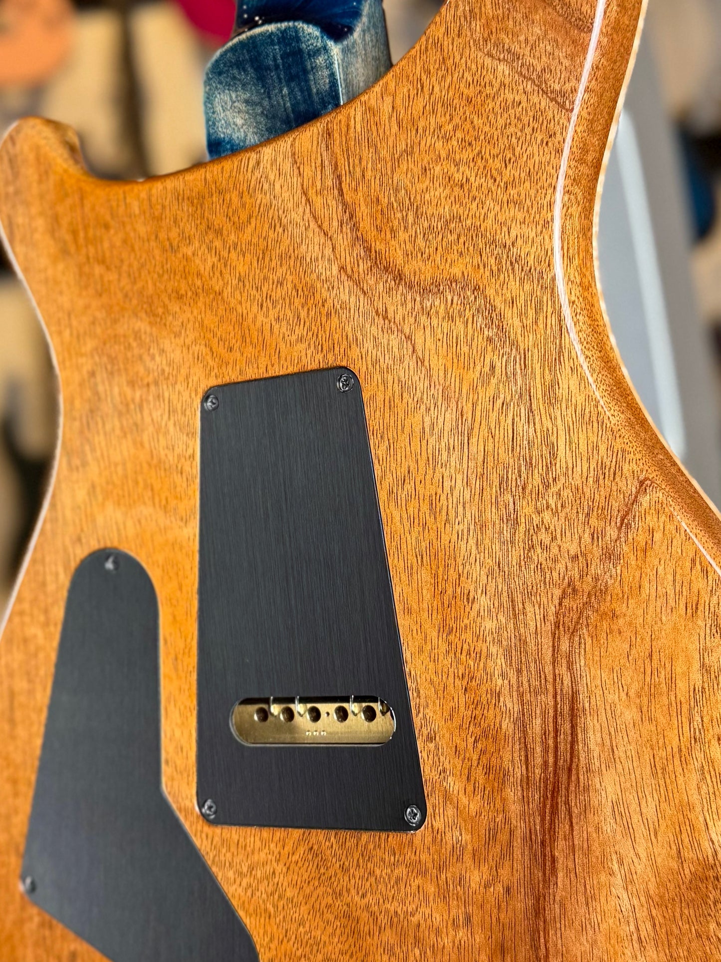 PRS Custom 24-08 "10 Top" Wood Library Limited Edition | Private Stock Indigo/Natural Back