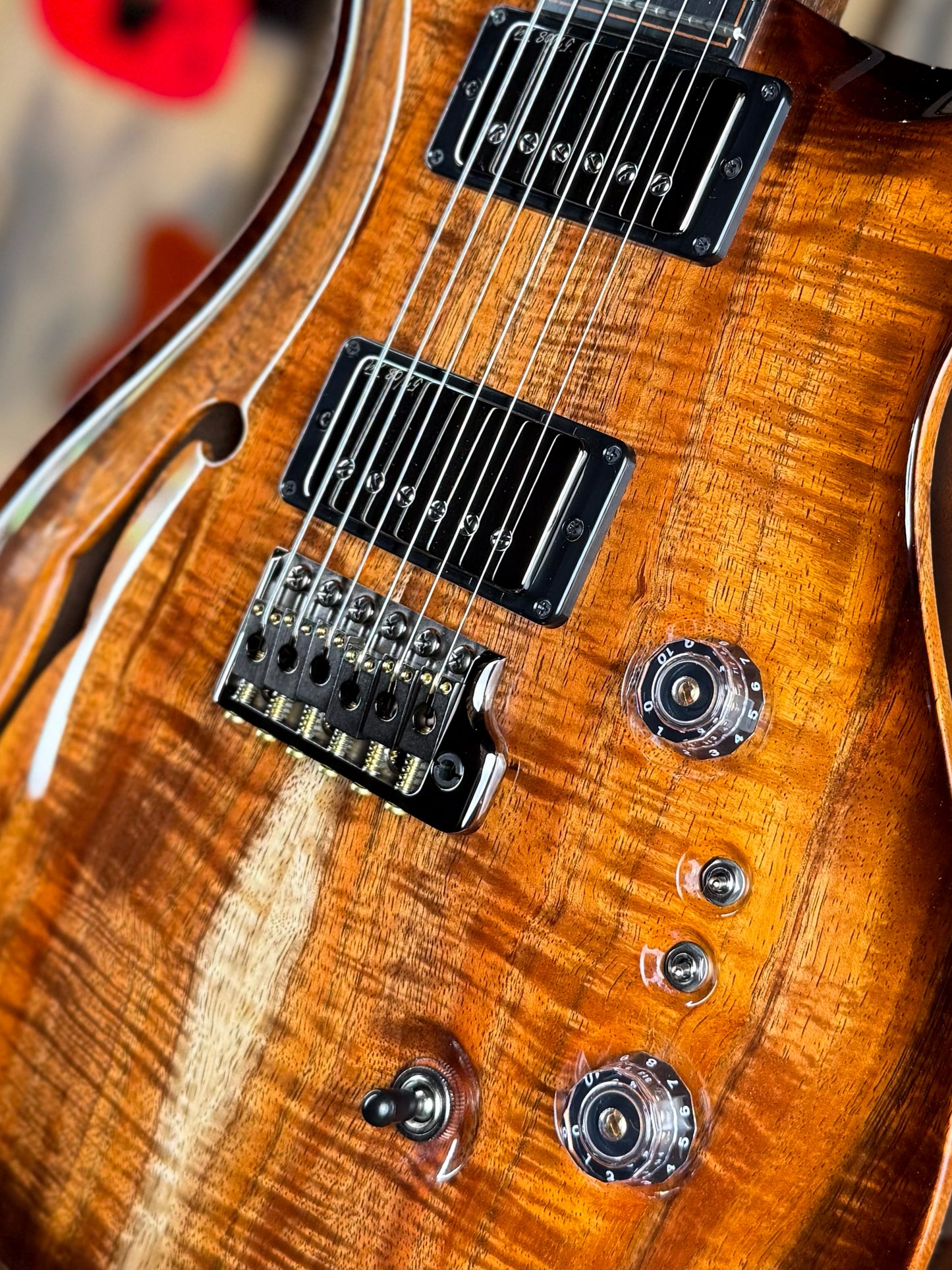 PRS Private Stock Custom 24 | Koa (Birds of a Feather)