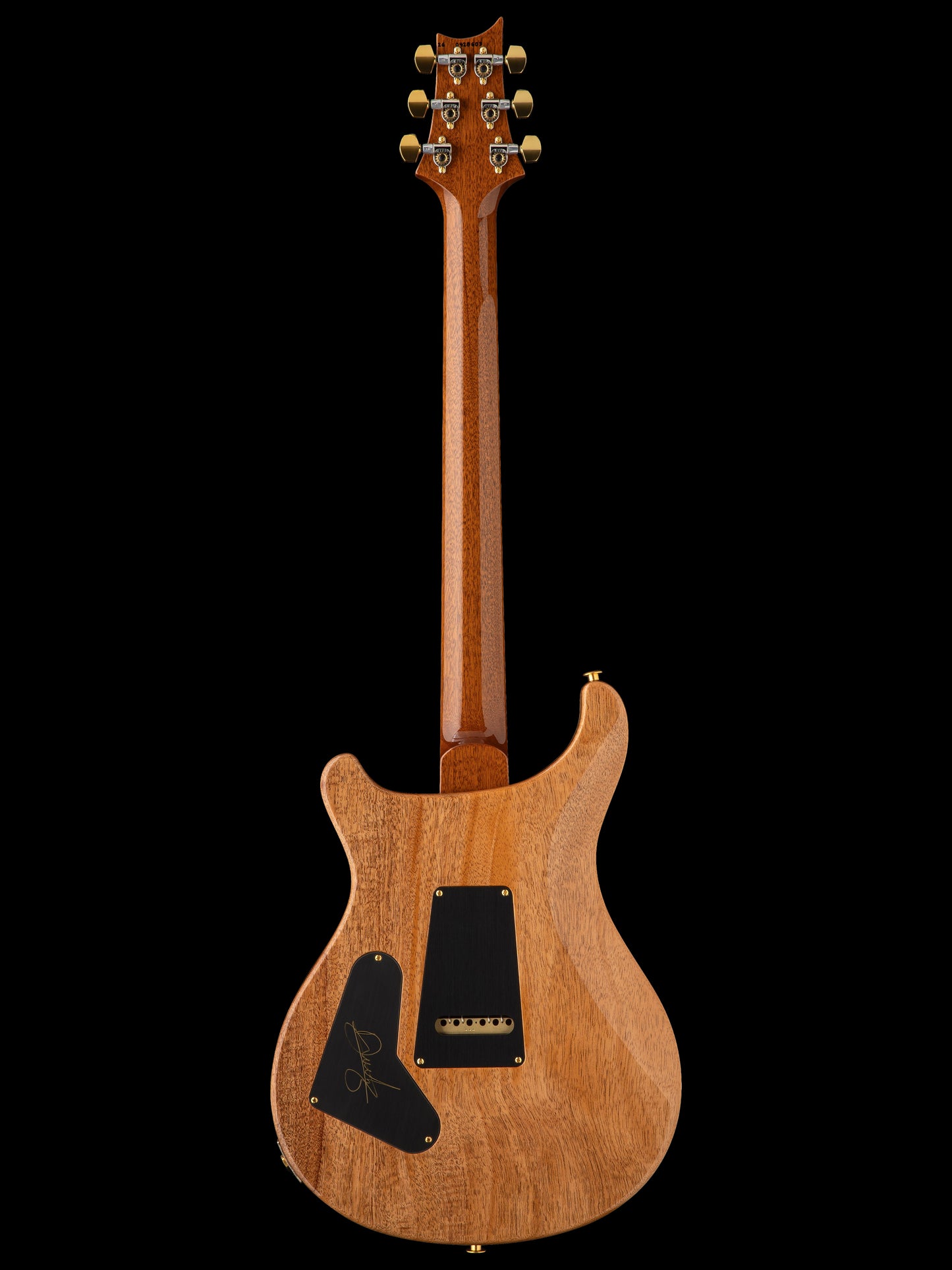 PRS Custom 24 Astryx Limited Edition Dany Villarreal Signature "10 Top" | Ocaso (Sunset)