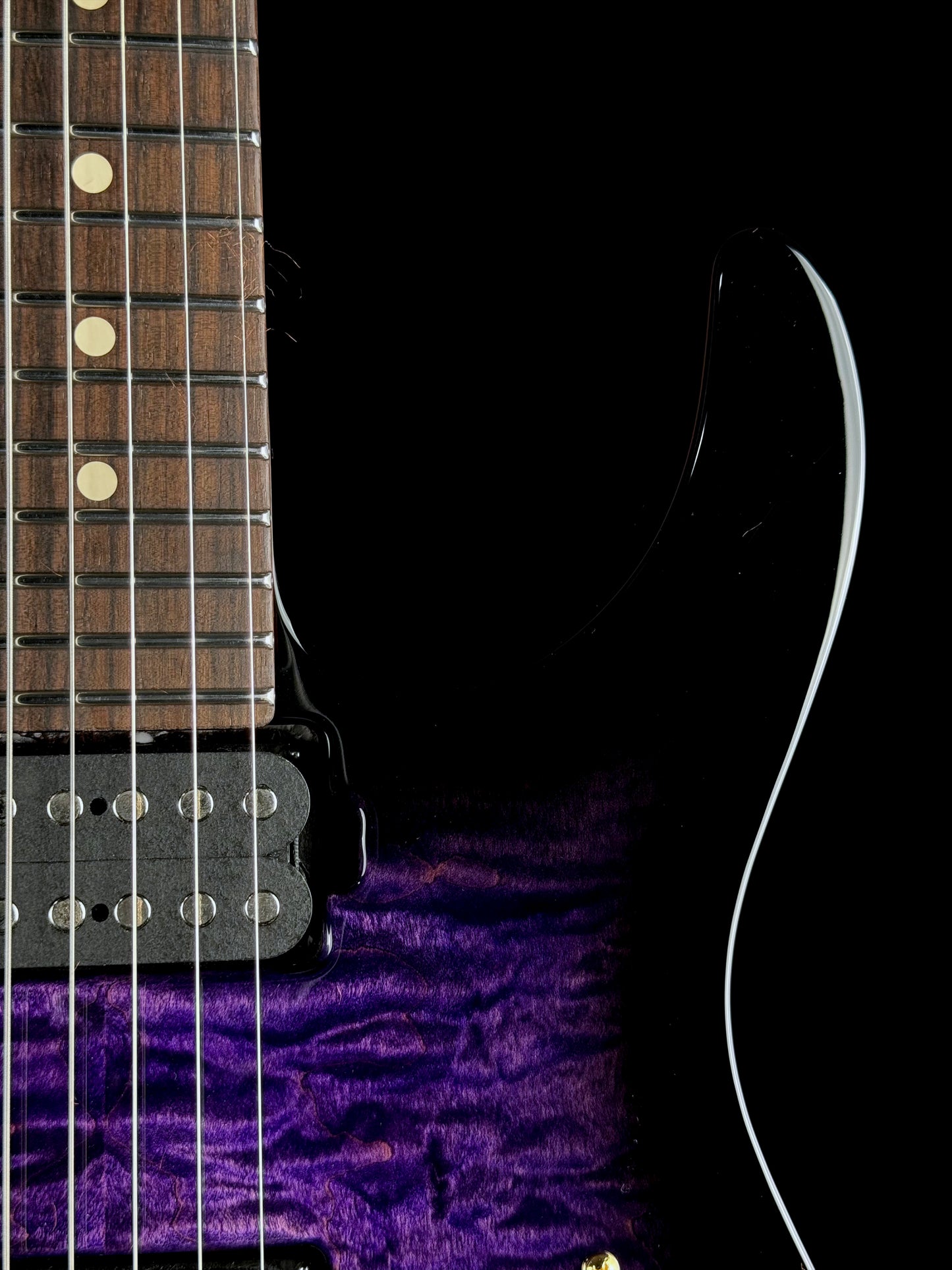 Tom Anderson Arc Angel | Transparent Purple to Black Burst