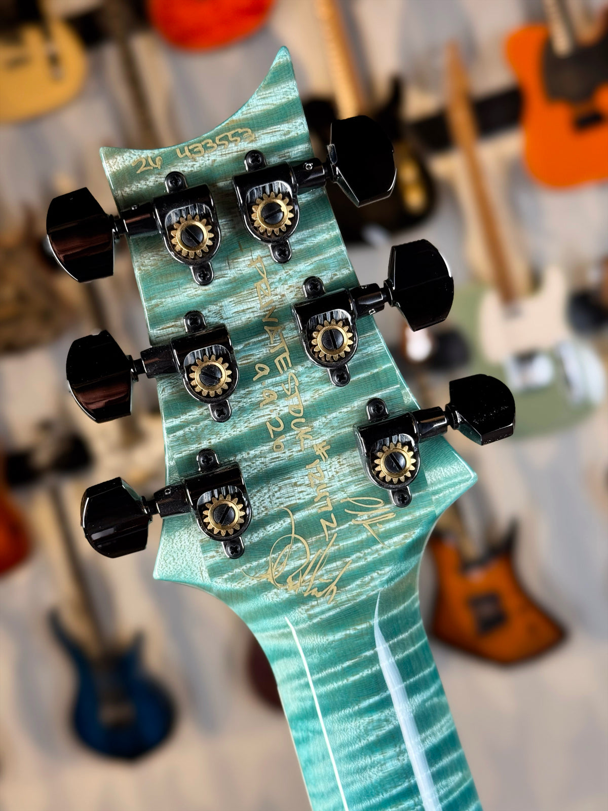 PRS Private Stock Custom 24 | Sub-Zero Dragon's Breath