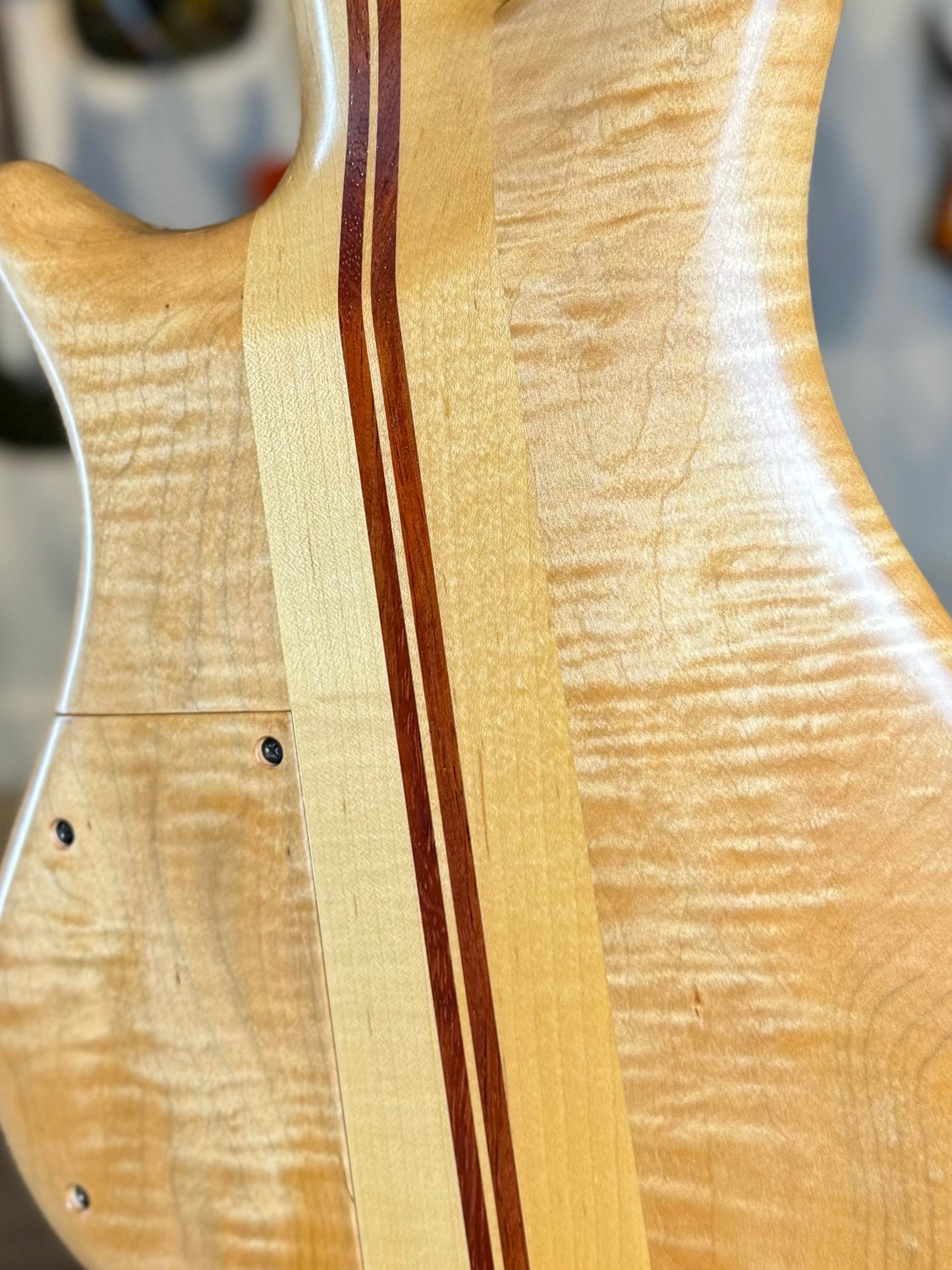 Pedulla Thunderbass 5 String | Cocobolo