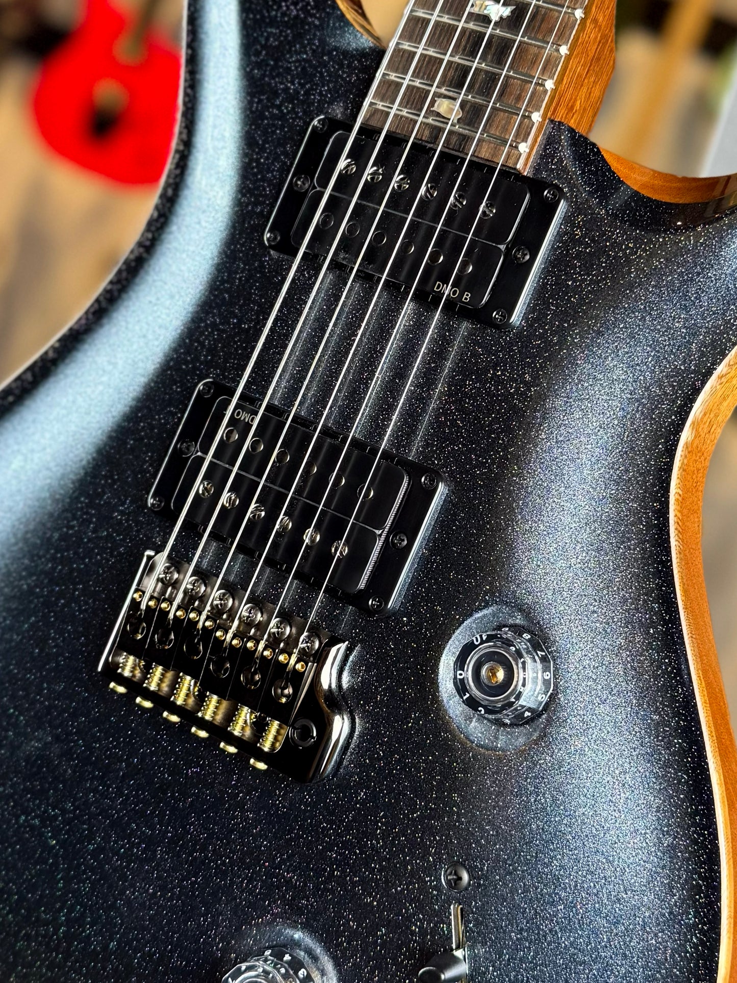 PRS Custom 24 Sprayer's Choice | Gunmetal Grey Holoflake Sparkle/Natural Back