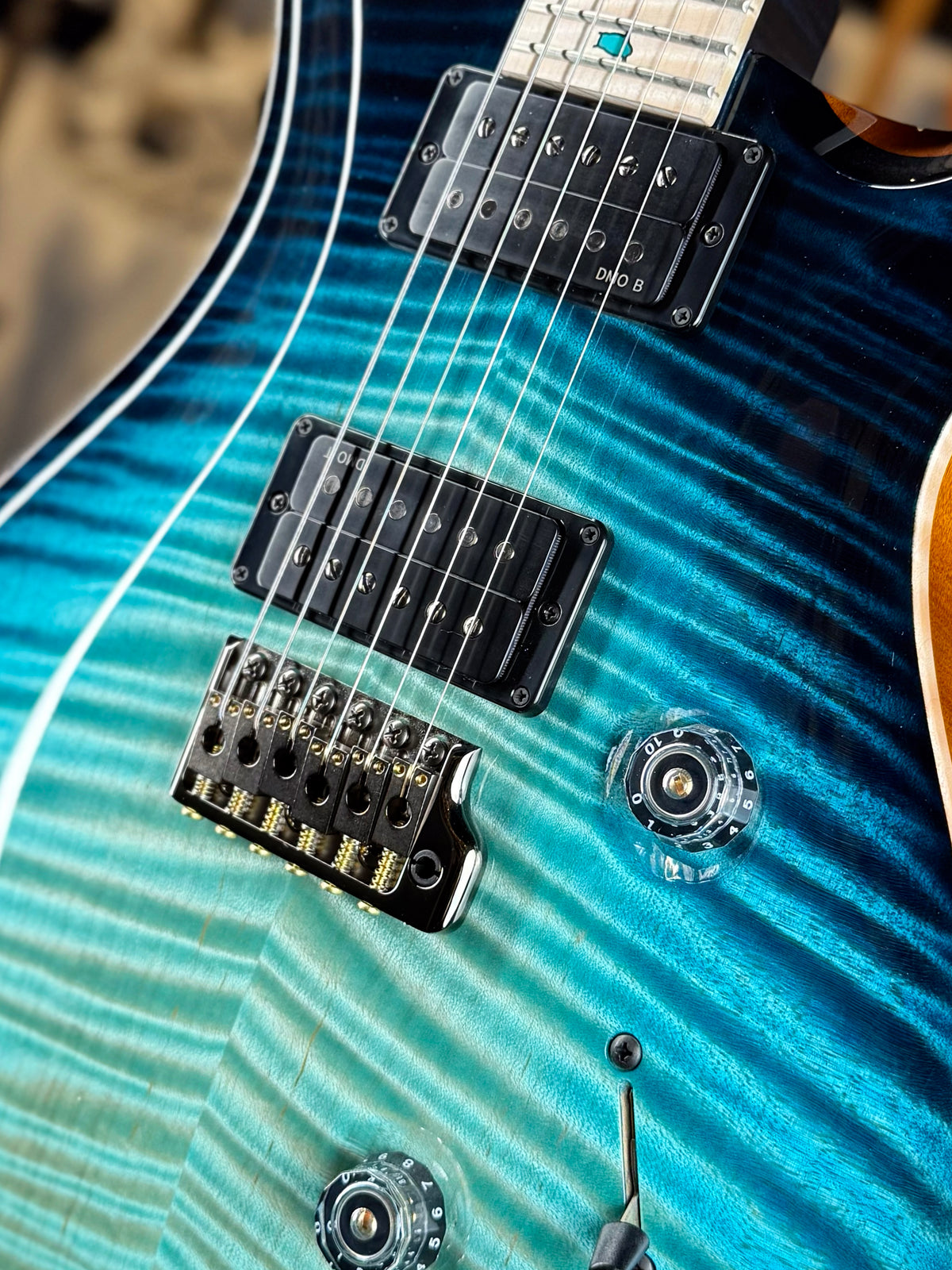 PRS Private Stock Custom 24 | Sub-Zero Dragon's Breath