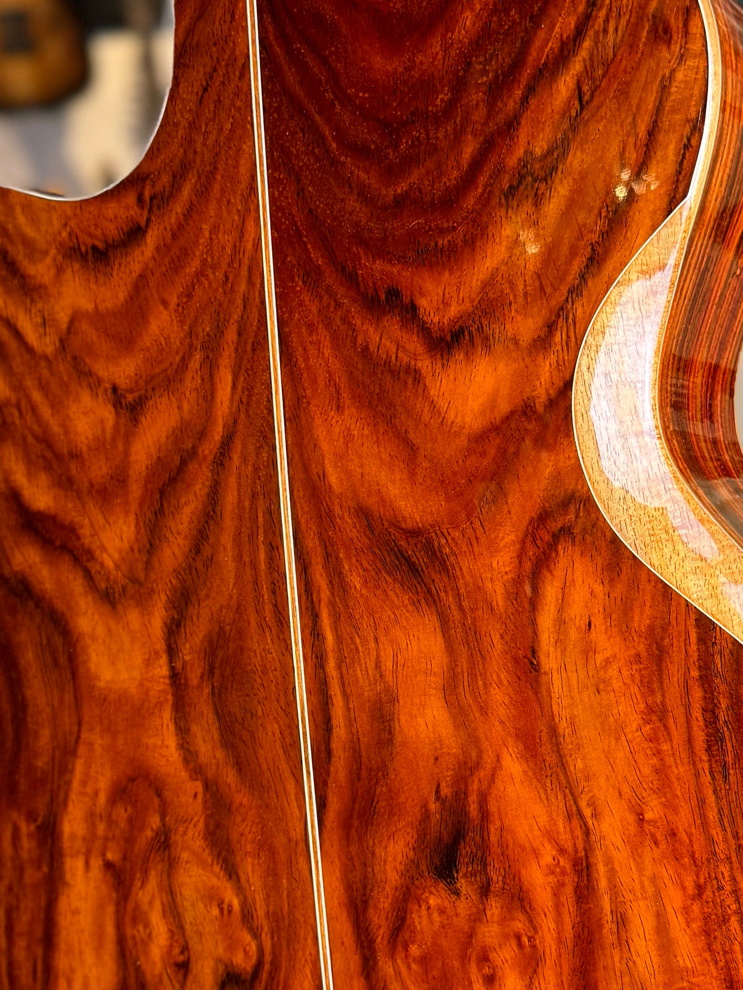 Furch Red Deluxe Gc-Lc Grand Auditorium Cutaway | Alpine Spruce/Cocobolo