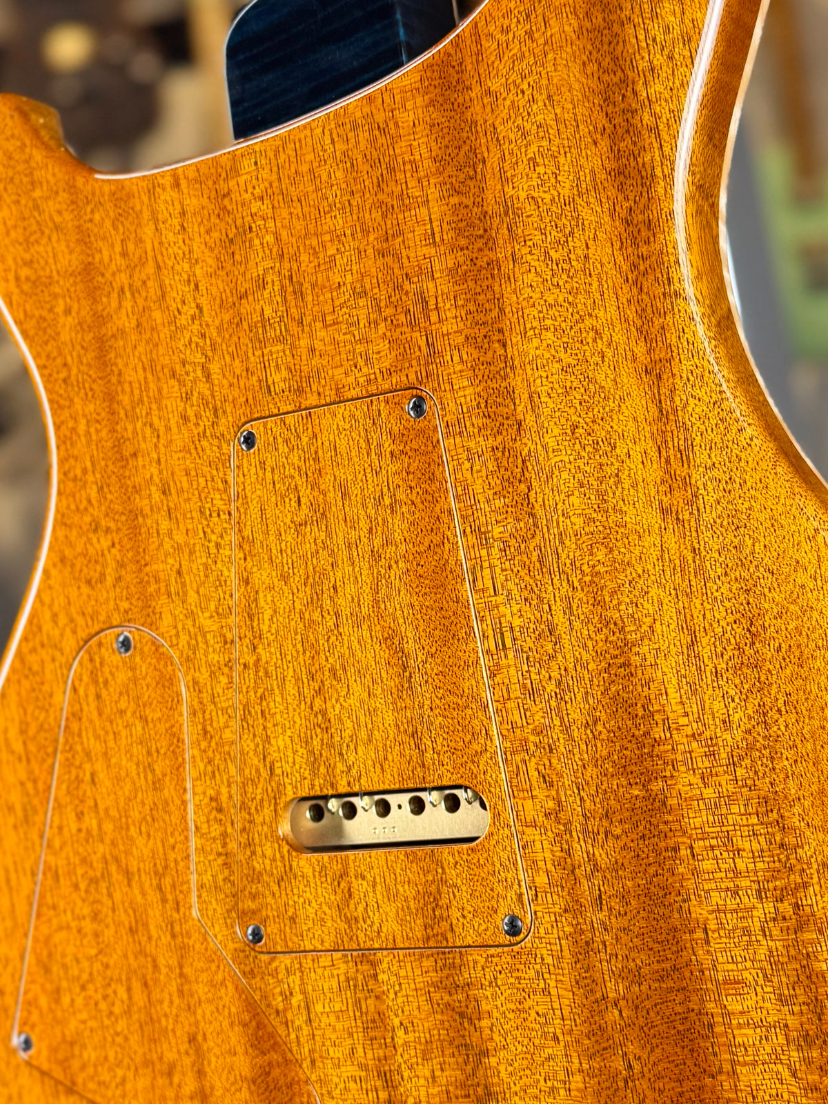 PRS Private Stock Custom 24 | Sub-Zero Dragon's Breath