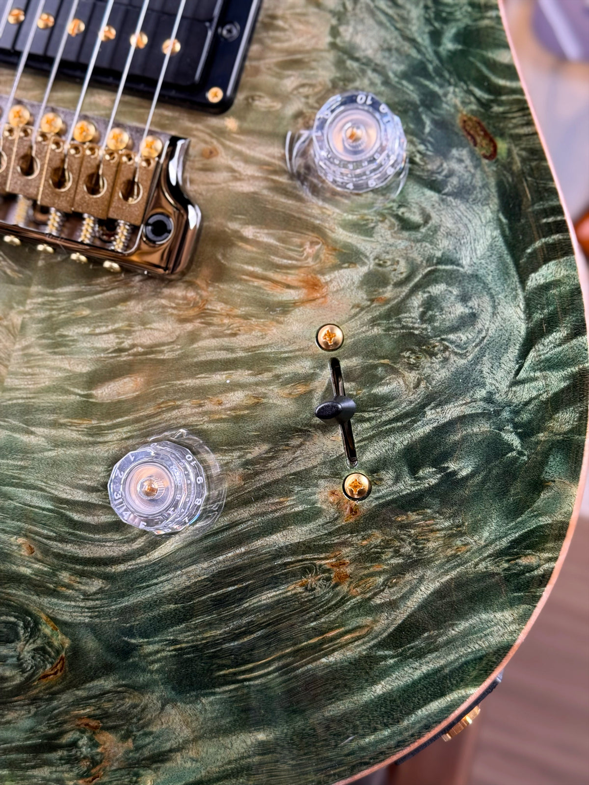 PRS Private Stock Custom 24 | Sage Glow