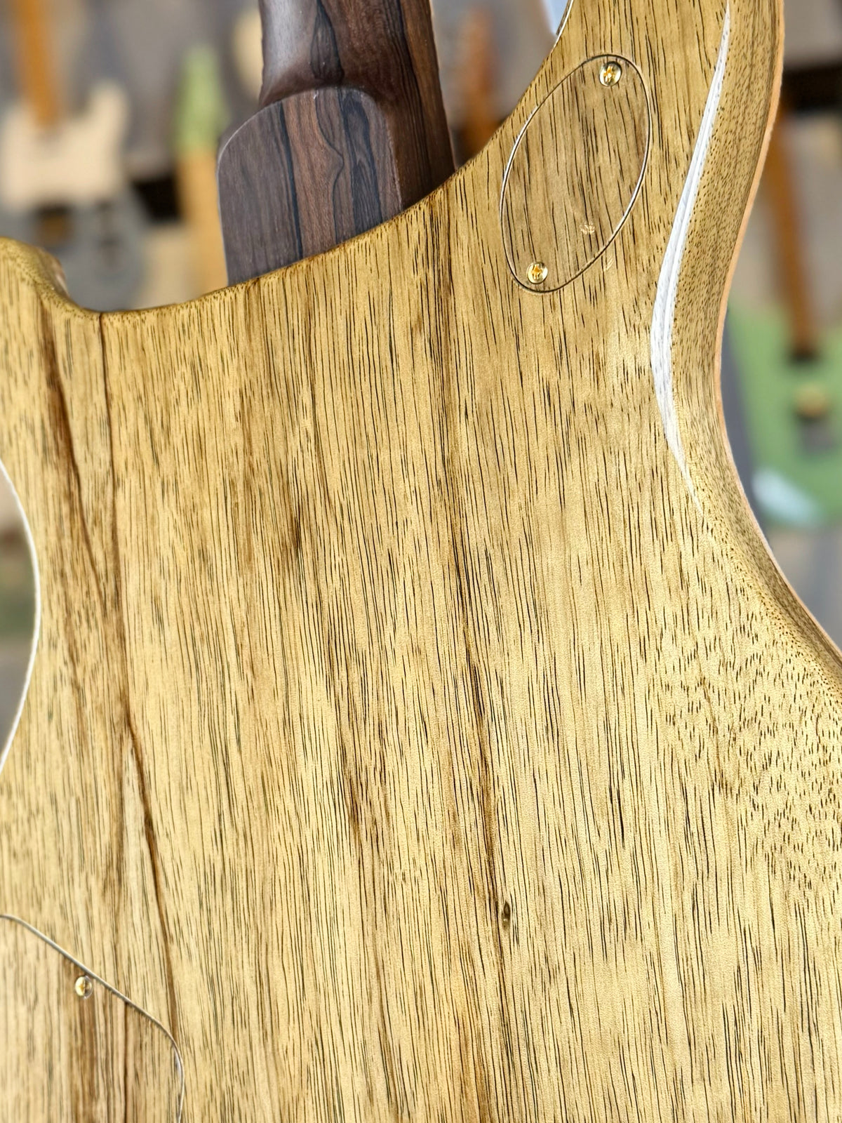 PRS Private Stock McCarty 594 | Bahamian Blue Dragon’s Breath
