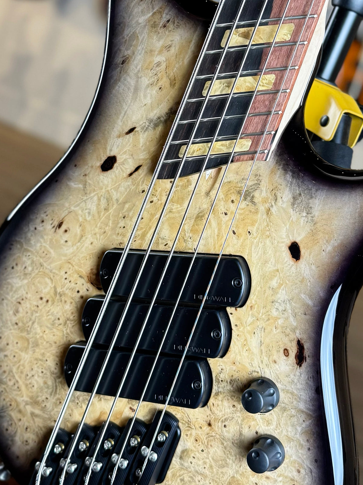 Dingwall Guitars Custom Shop Z3 5 String | Buckeye Burl Natural to Blackburst