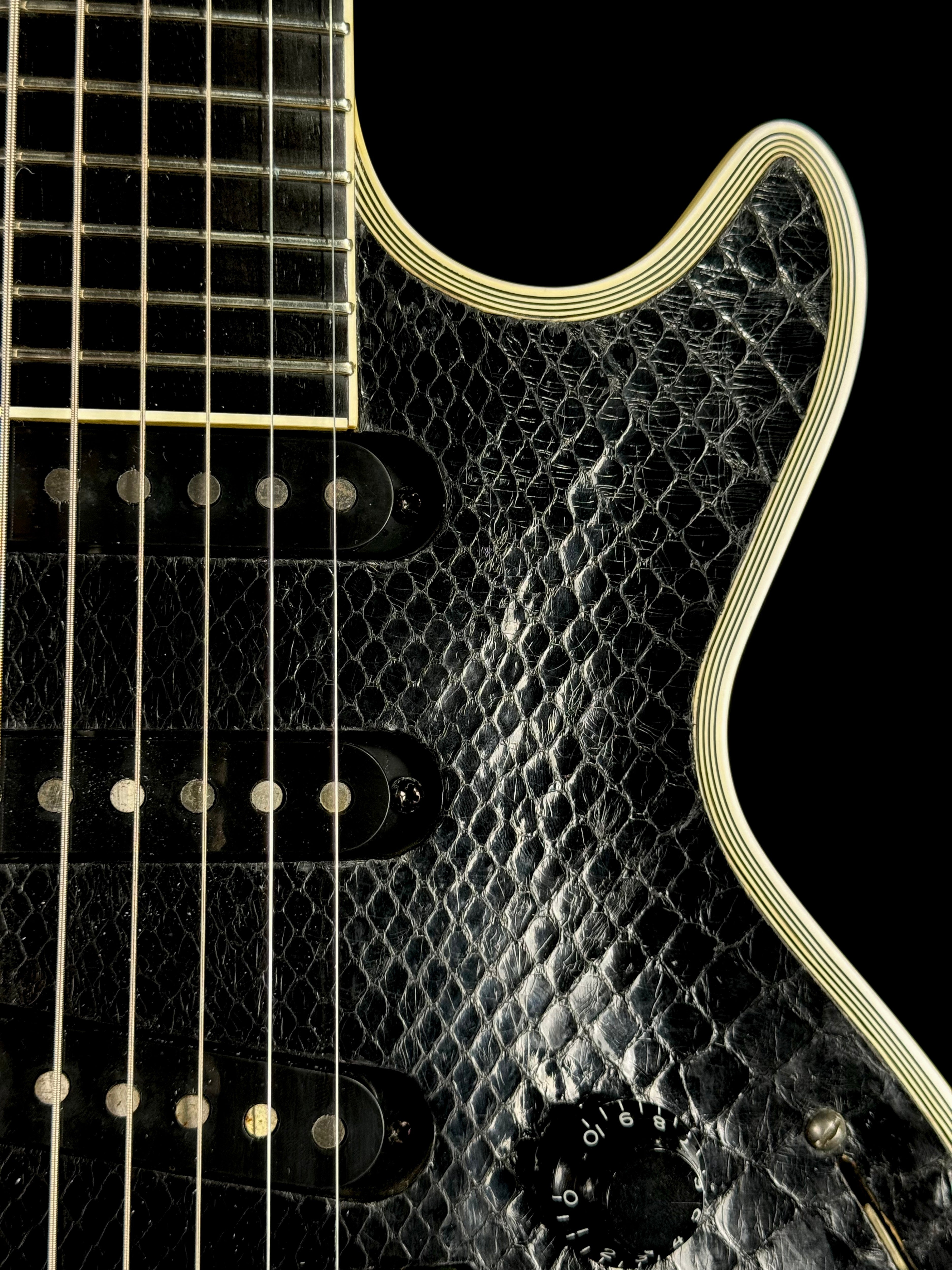 ESP Custom Shop Eclipse Sugizo S-1 Python | Python Skin – The Vibrato Bar