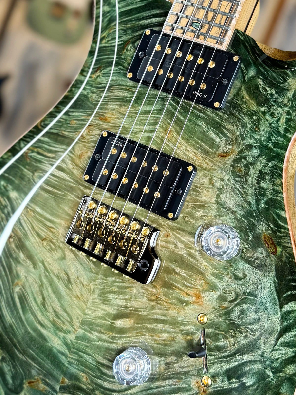 PRS Private Stock Custom 24 | Sage Glow