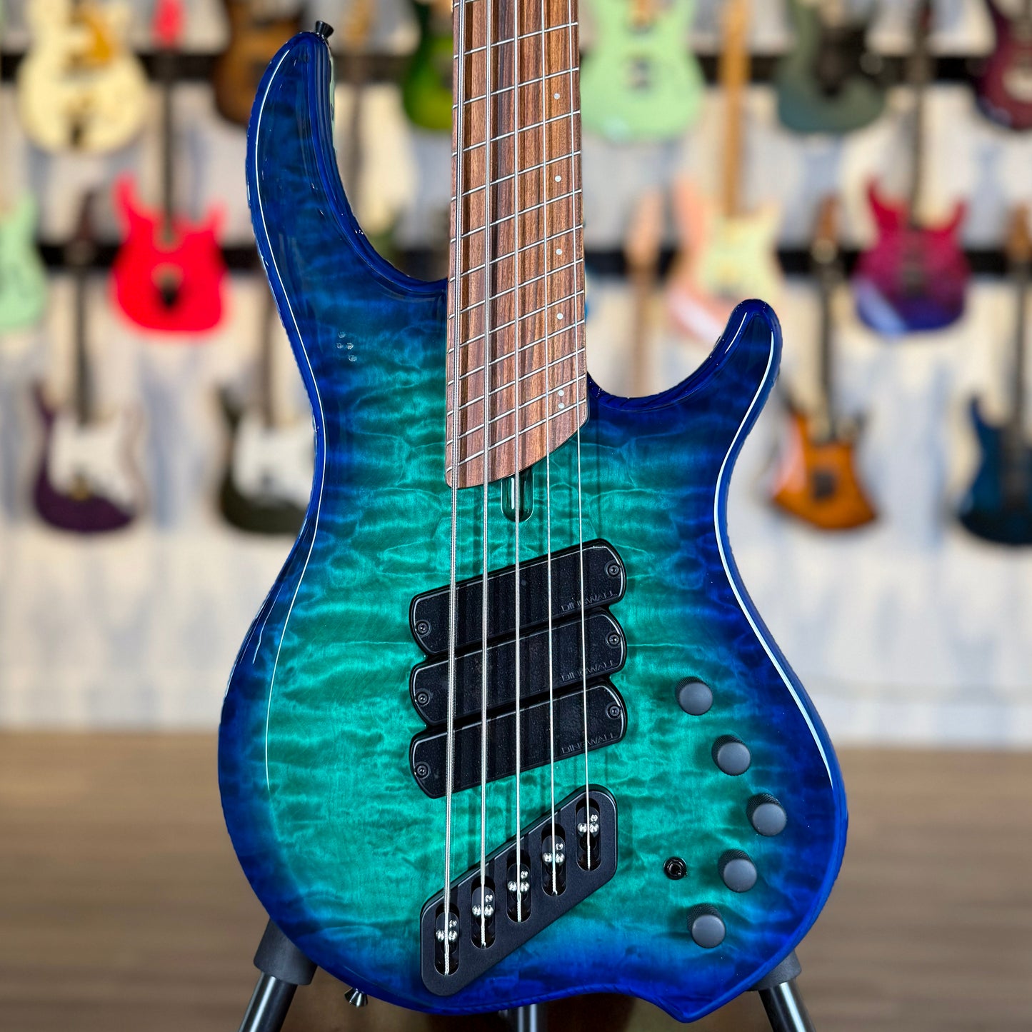 Dingwall Guitars Combustion C3 5 String | Whalepoolburst