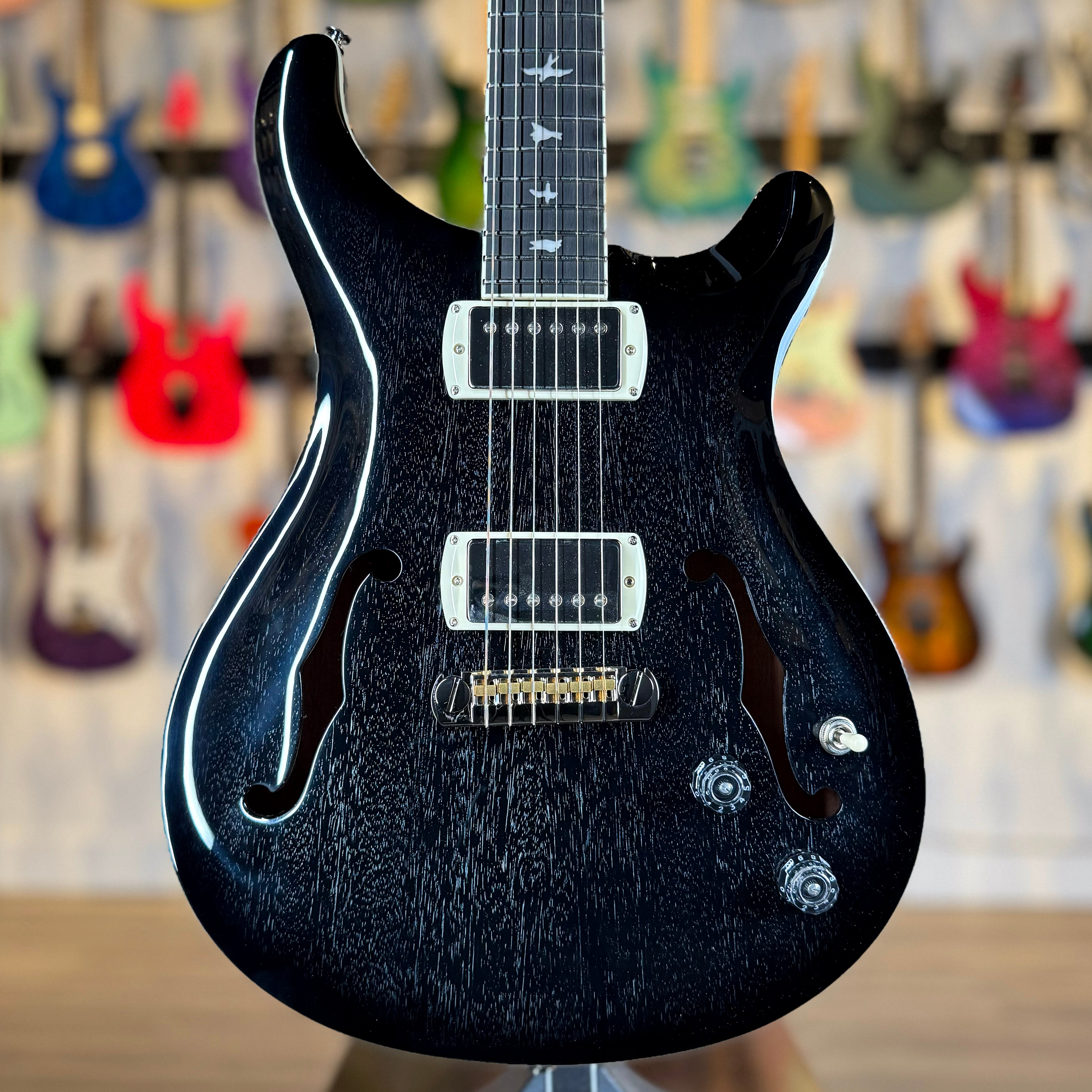 PRS SE Hollowbody Standard | Dog Hair Smokeburst – The Vibrato Bar