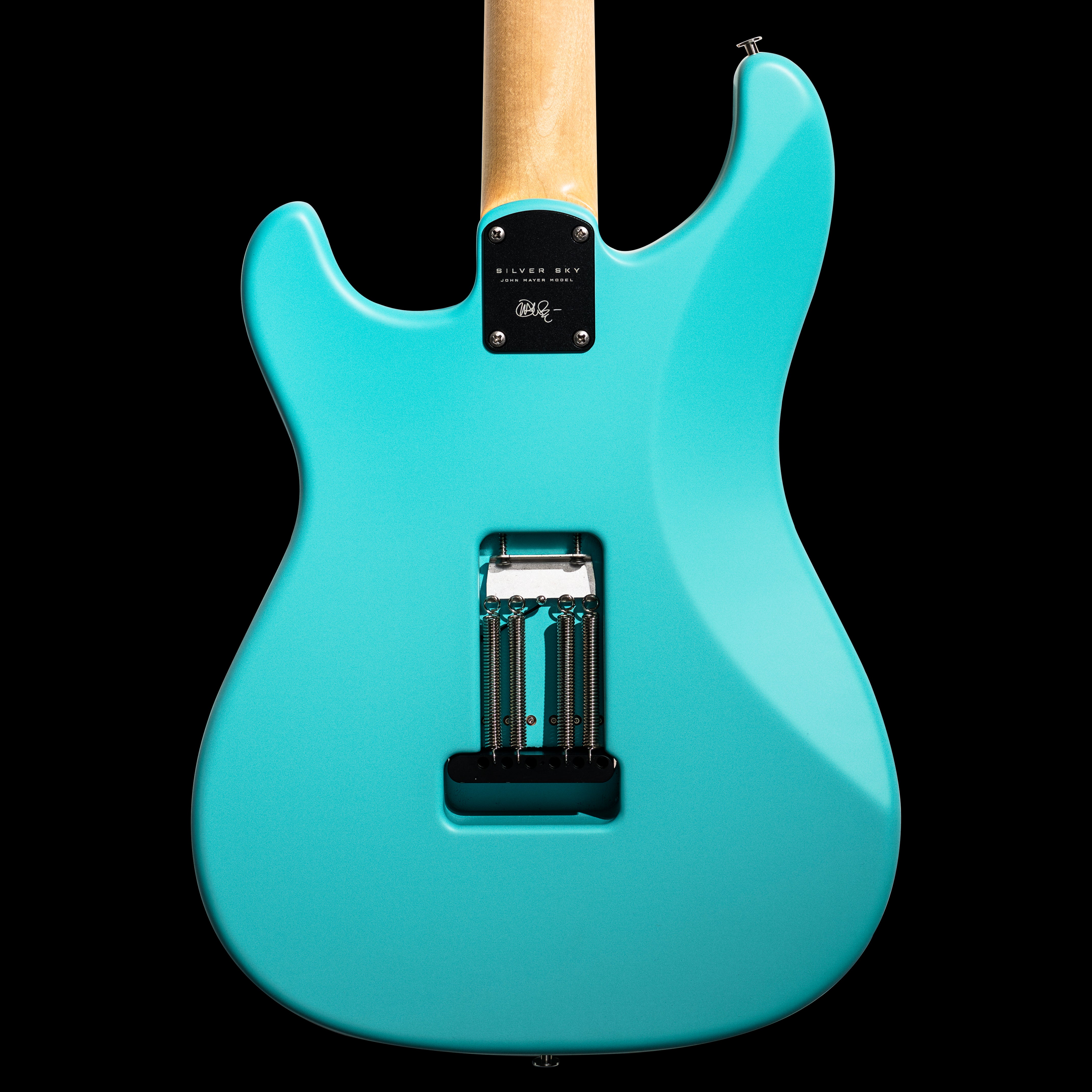 PRS Silver Sky Wild Blue Limited Edition 2026 | Wild Blue – The