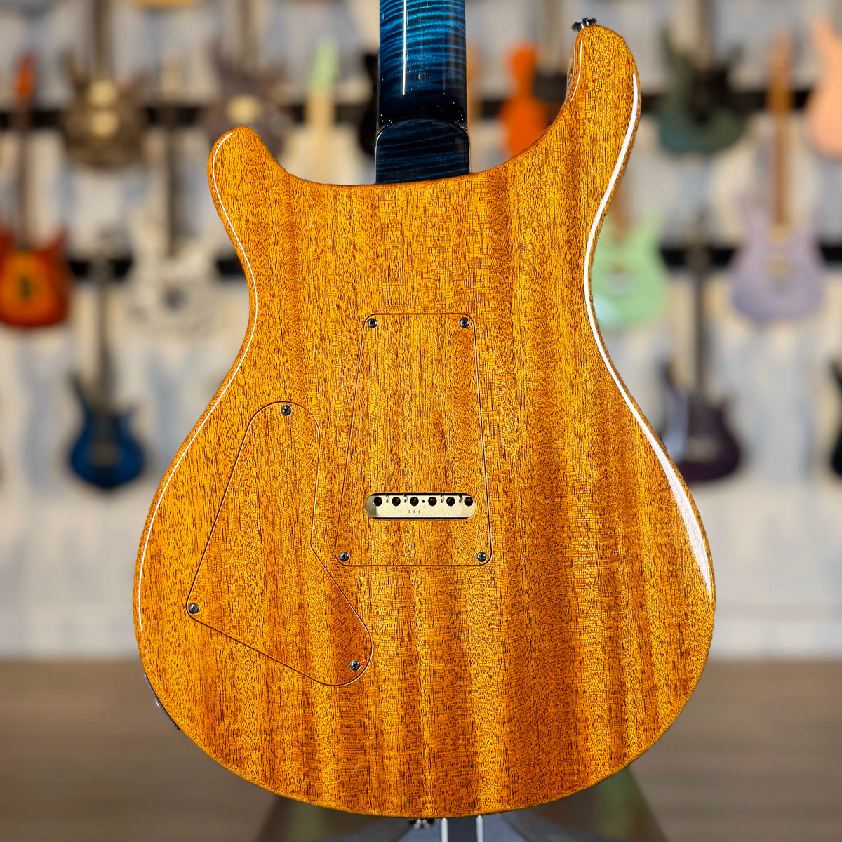 PRS Private Stock Custom 24 | Sub-Zero Dragon's Breath