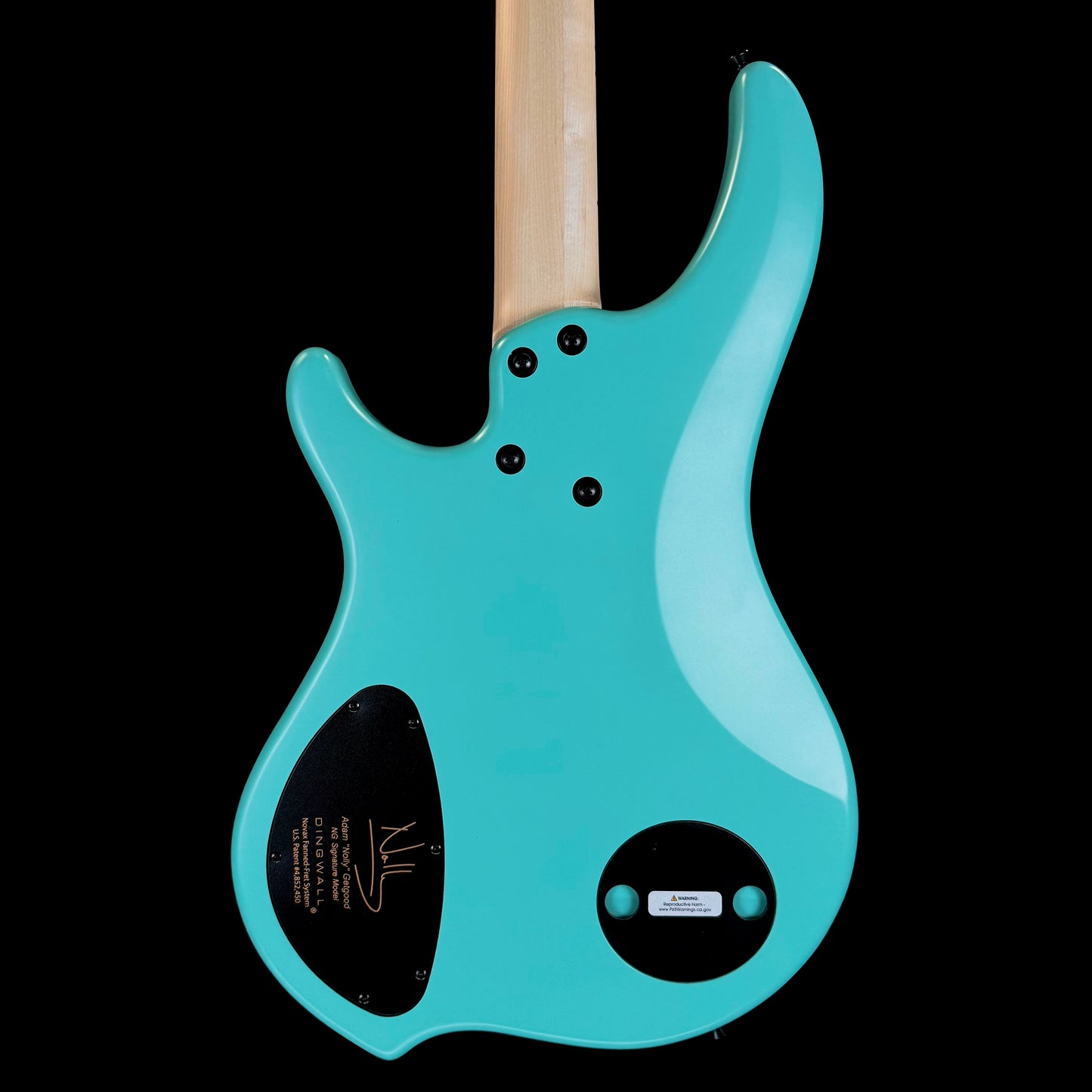 Dingwall Guitars Adam "Nolly" Getgood NG Signature 4 String | Matte Celestial Blue