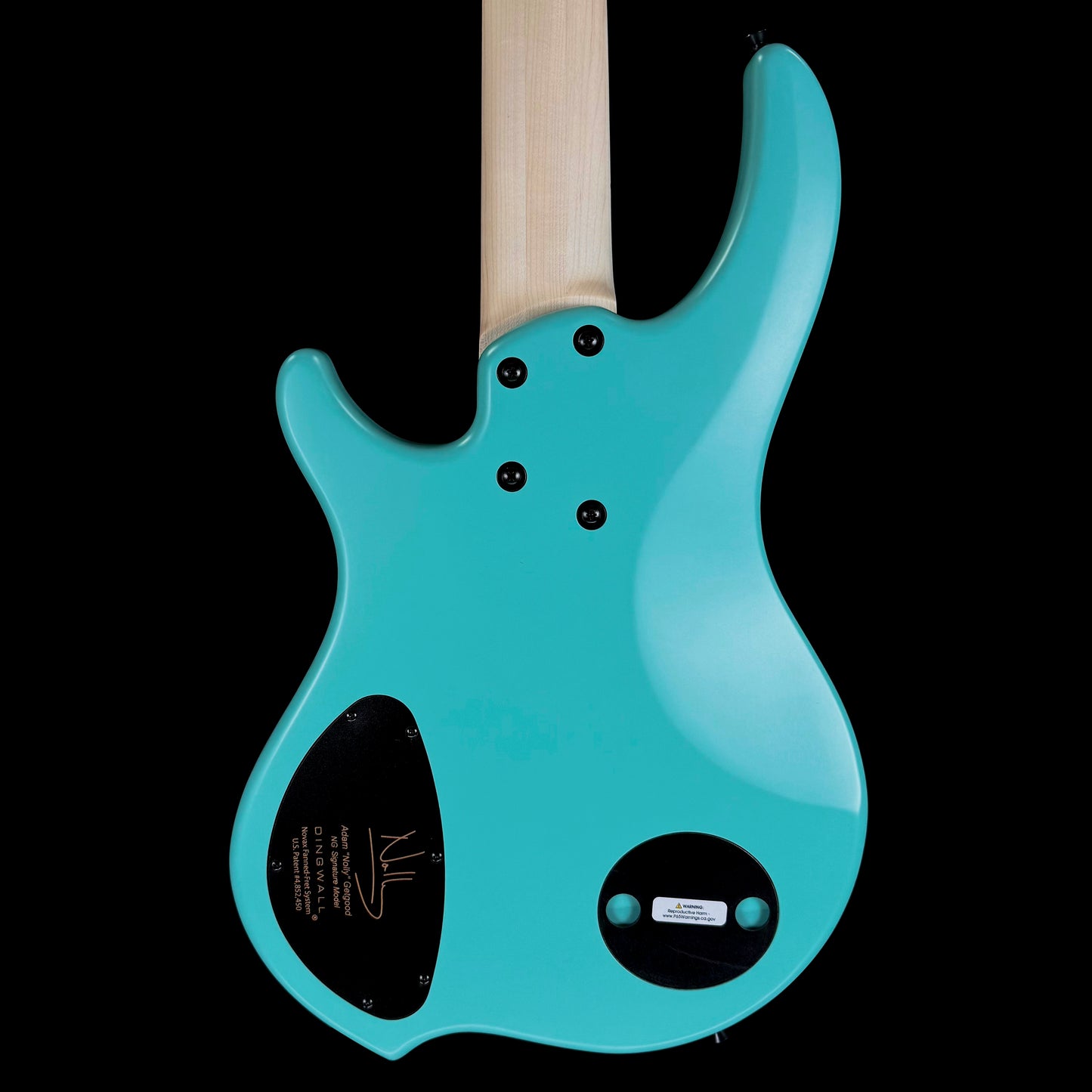 Dingwall Guitars Adam "Nolly" Getgood NG Signature 5 String | Matte Celestial Blue