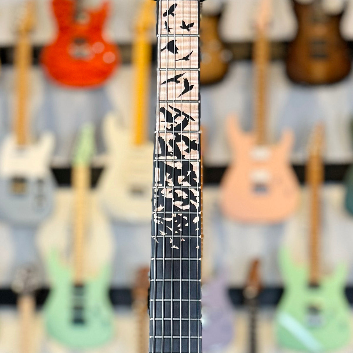 PRS Custom 24 "Birds of a Feather" Limited Edition | Blood Red