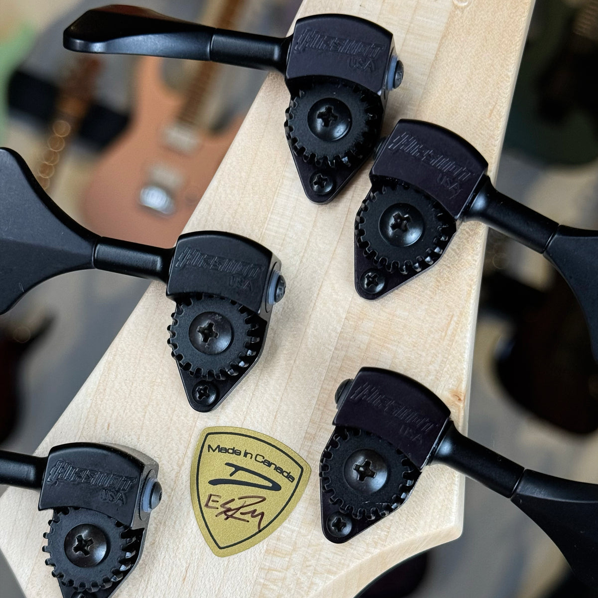 Dingwall Guitars Custom Shop Z3 5 String | Buckeye Burl Natural to Blackburst