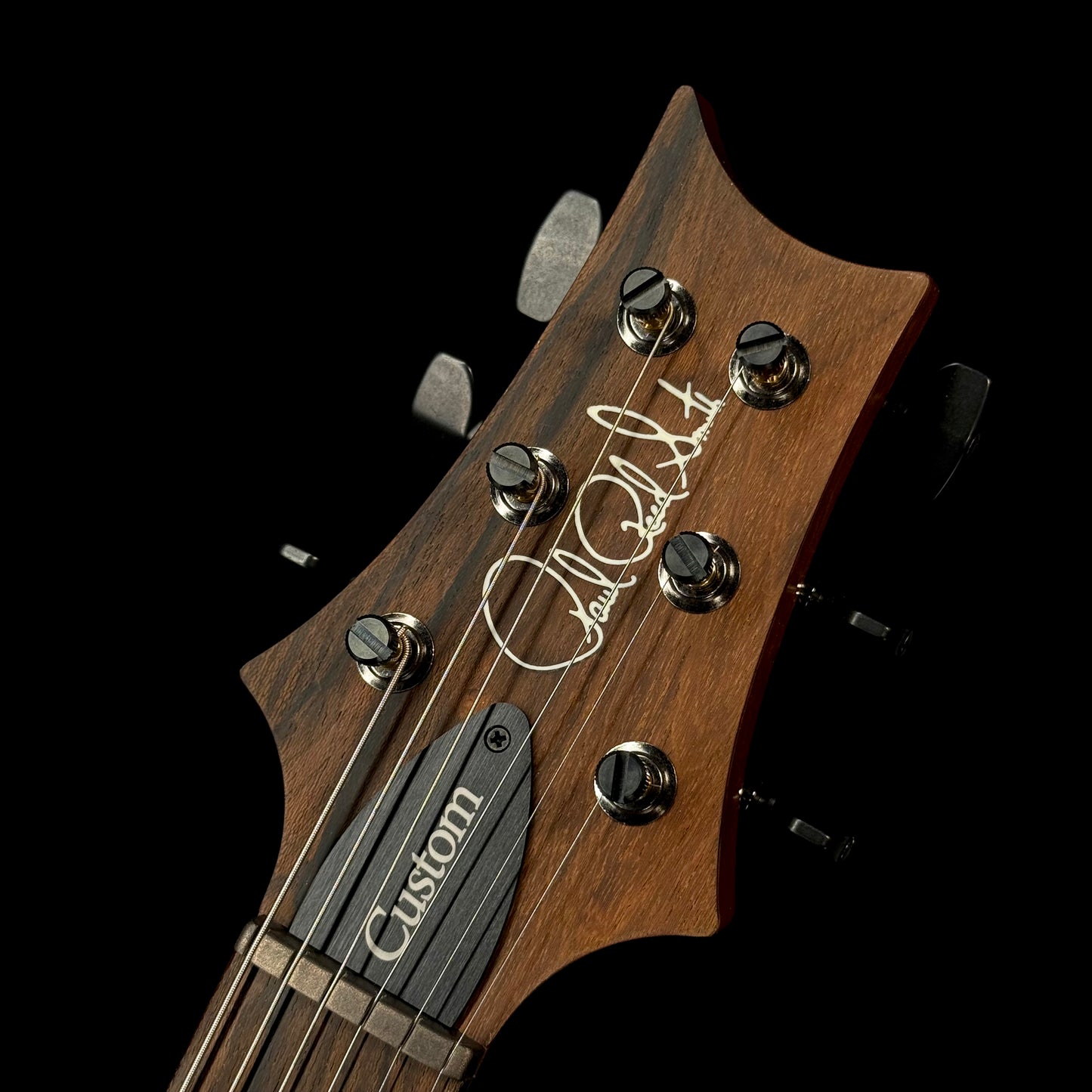 PRS Custom 24 "10 Top" Wood Library Quilt | Charcoal Purple Smokeburst Natural Back
