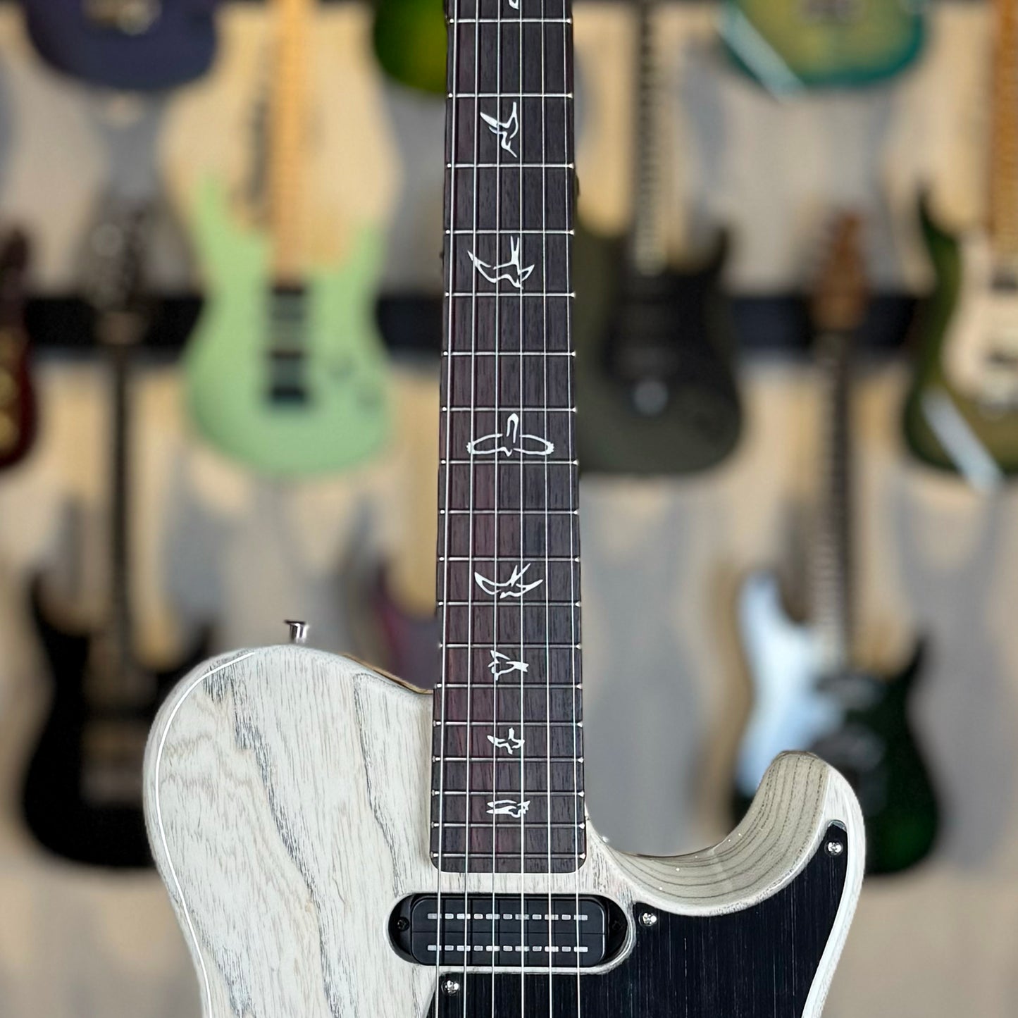 PRS NF 53 | White Doghair