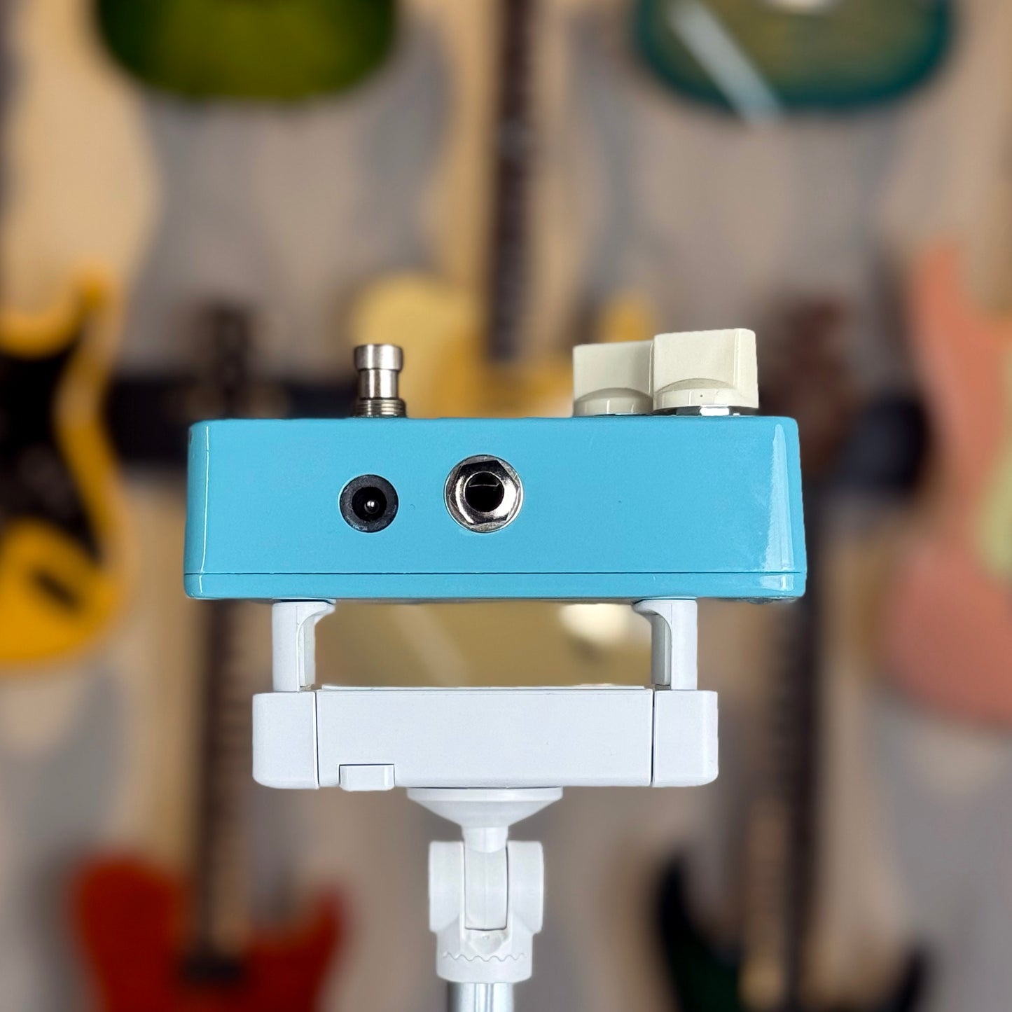 Animals Pedal Relaxing Walrus Delay