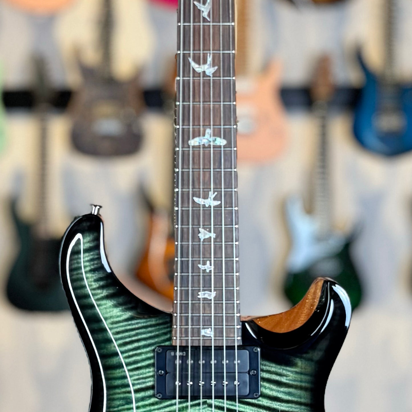 PRS Custom 24-08 "10 Top" Wood Library Limited Edition | Private Stock Sage/Natural Back