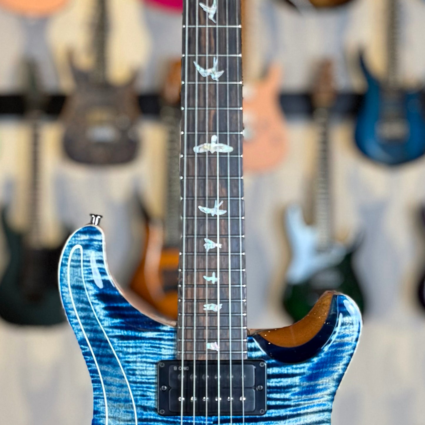 PRS Custom 24-08 "10 Top" Wood Library Limited Edition | Private Stock Indigo/Natural Back