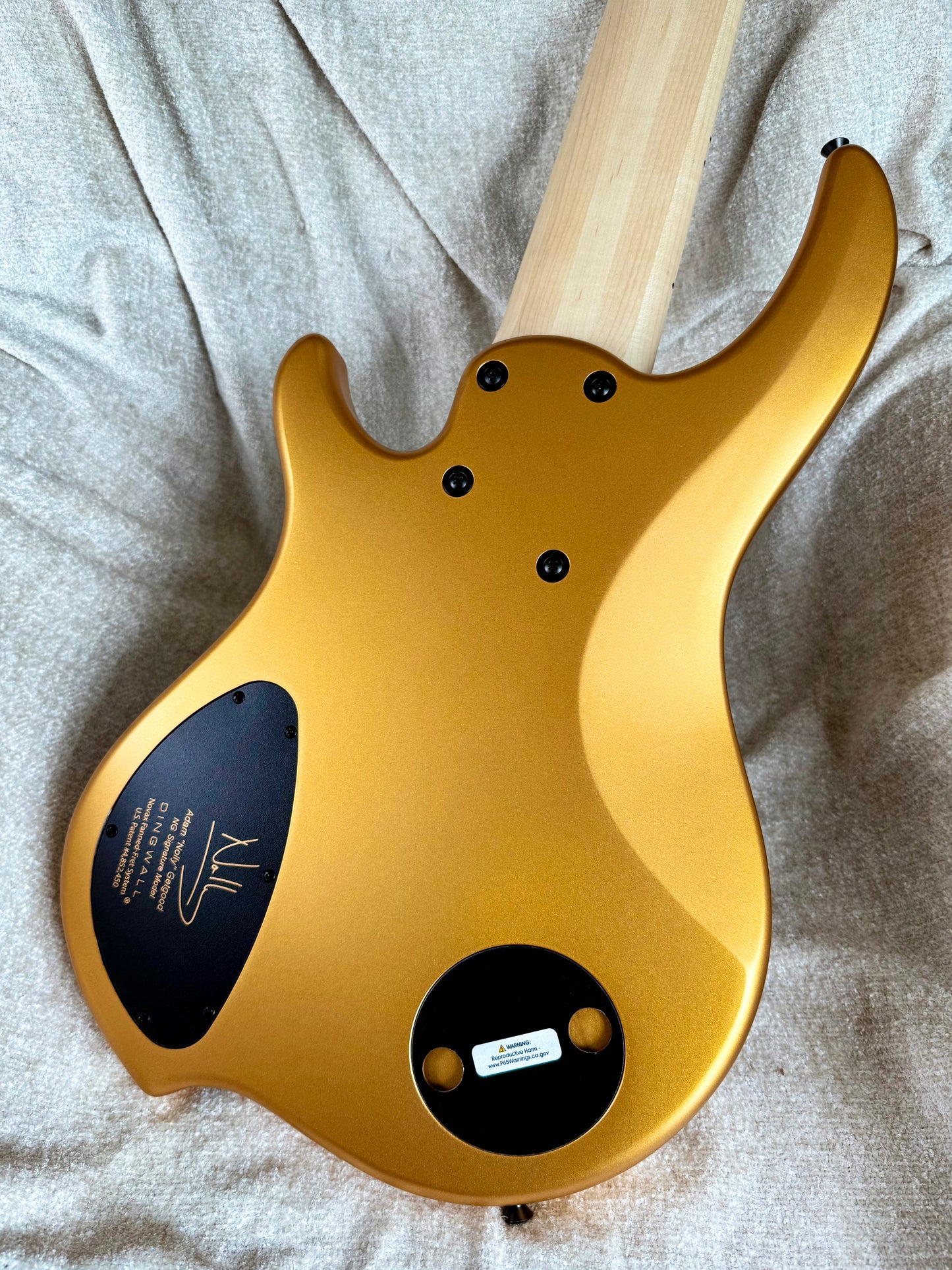 Dingwall Guitars Adam "Nolly" Getgood NG Signature 6 String | Matte Gold Metallic