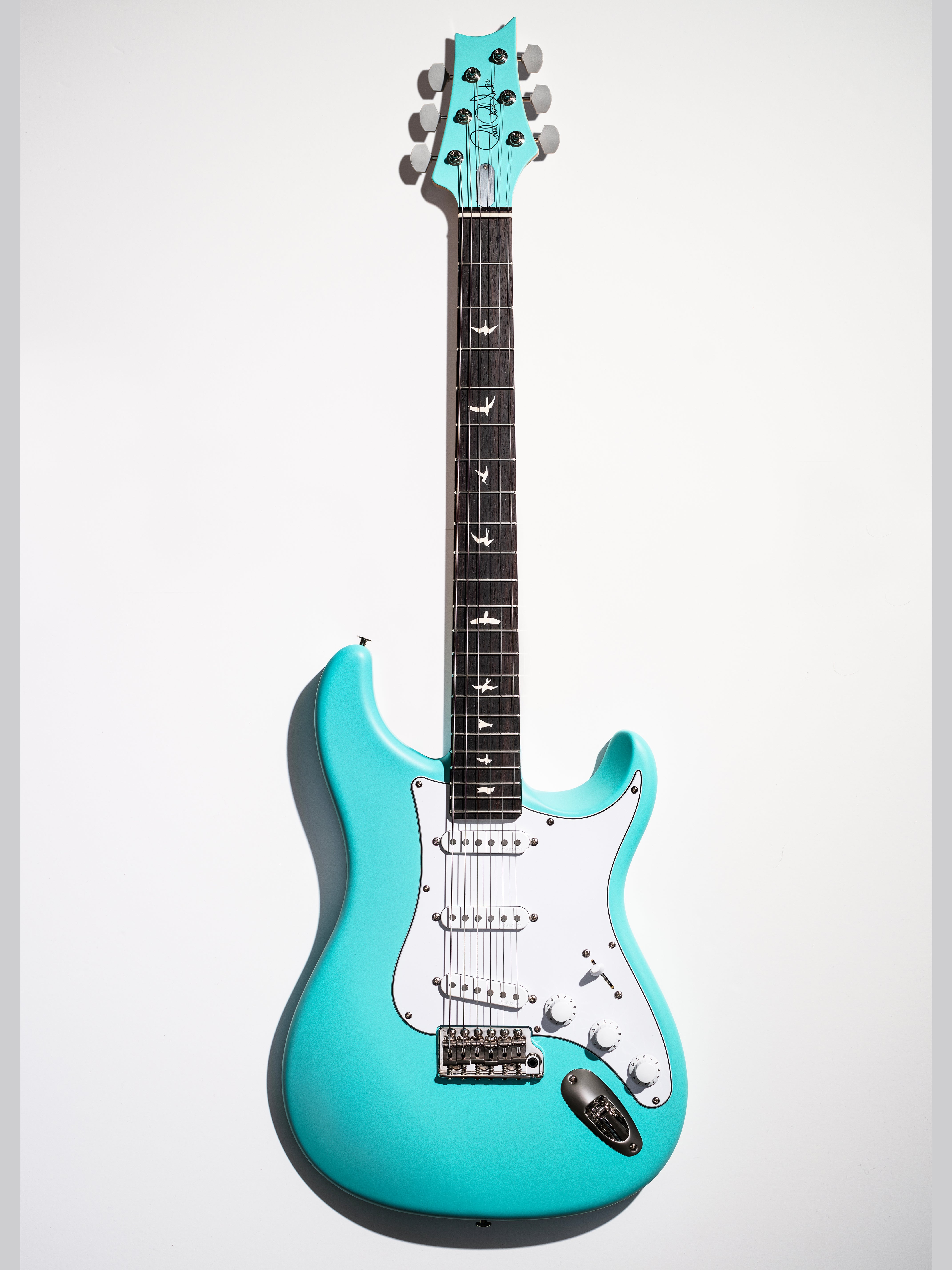 PRS Silver Sky Wild Blue Limited Edition 2026 | Wild Blue – The