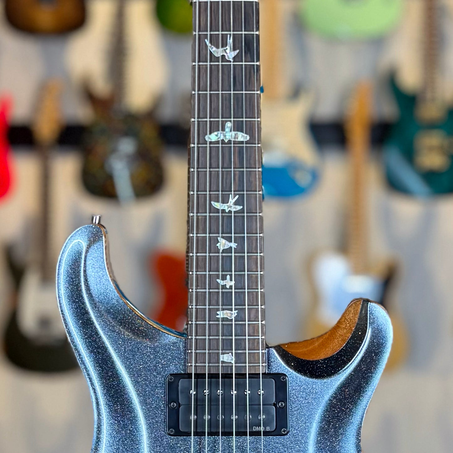 PRS Custom 24 Sprayer's Choice | Gunmetal Grey Holoflake Sparkle/Natural Back