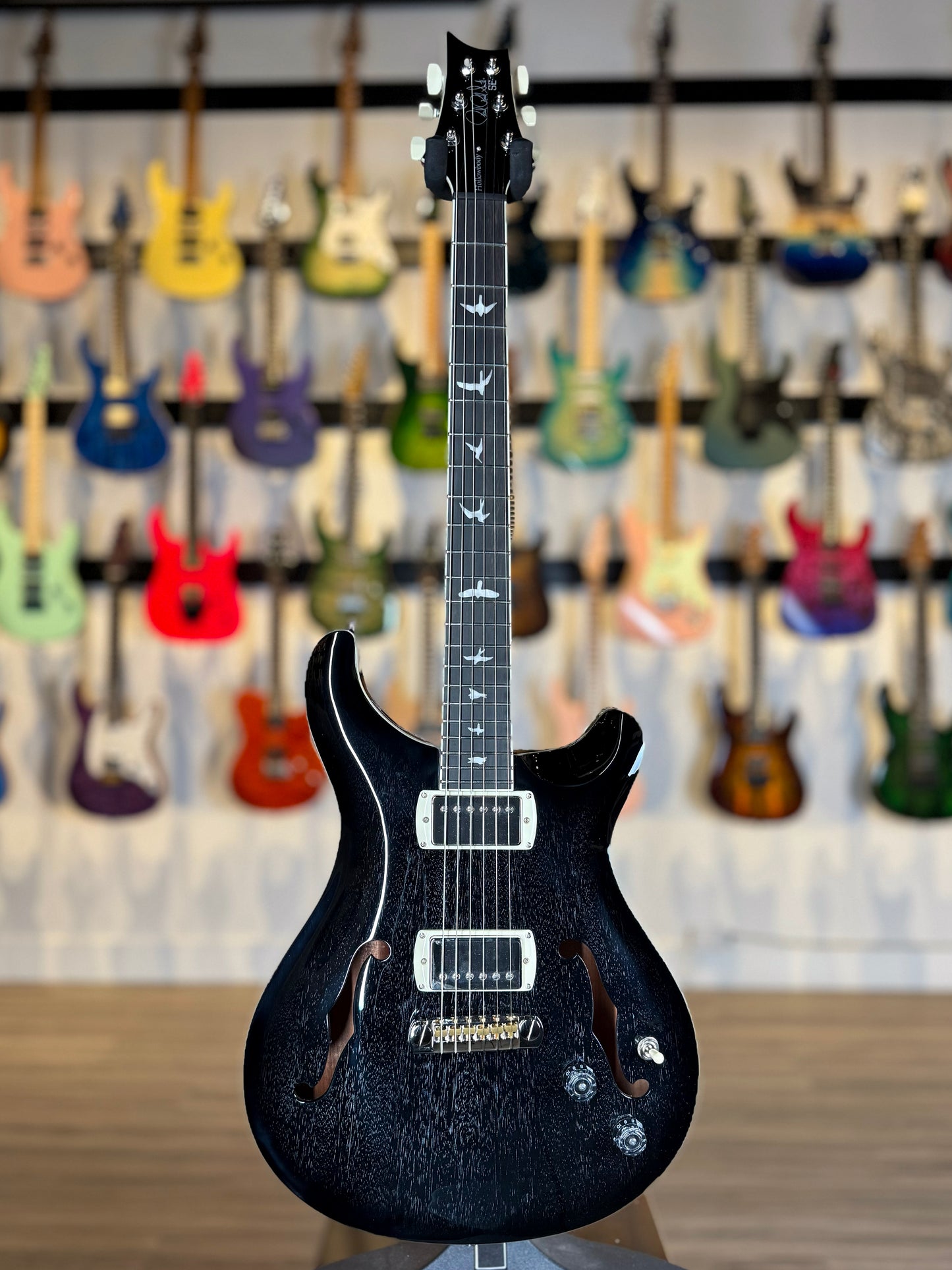 PRS SE Hollowbody Standard | Dog Hair Smokeburst