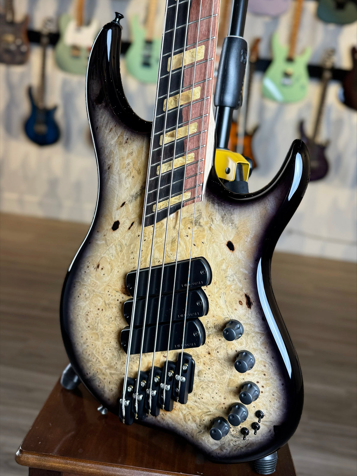 Dingwall Guitars Custom Shop Z3 5 String | Buckeye Burl Natural to Blackburst