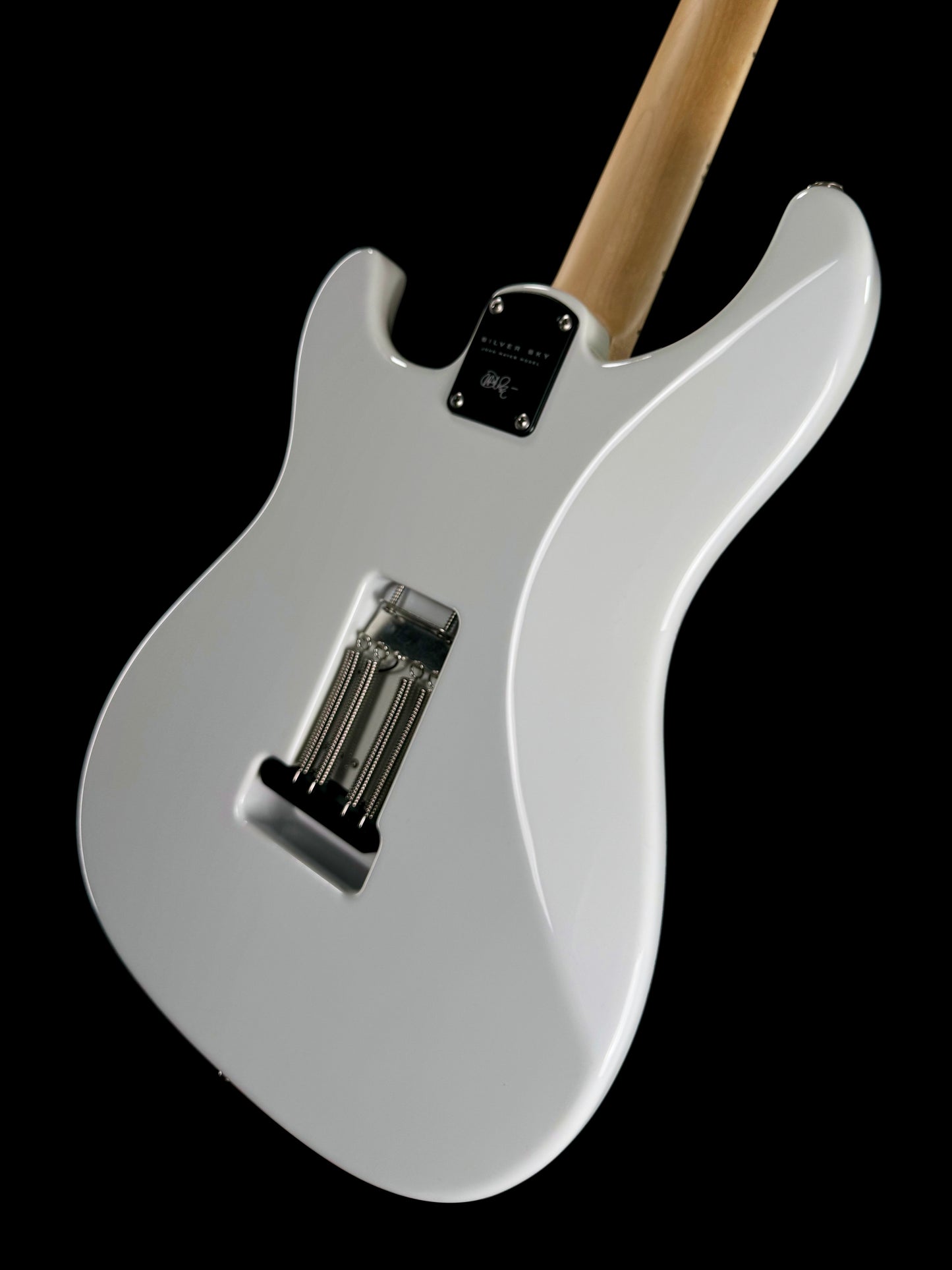 PRS Silver Sky | Frost