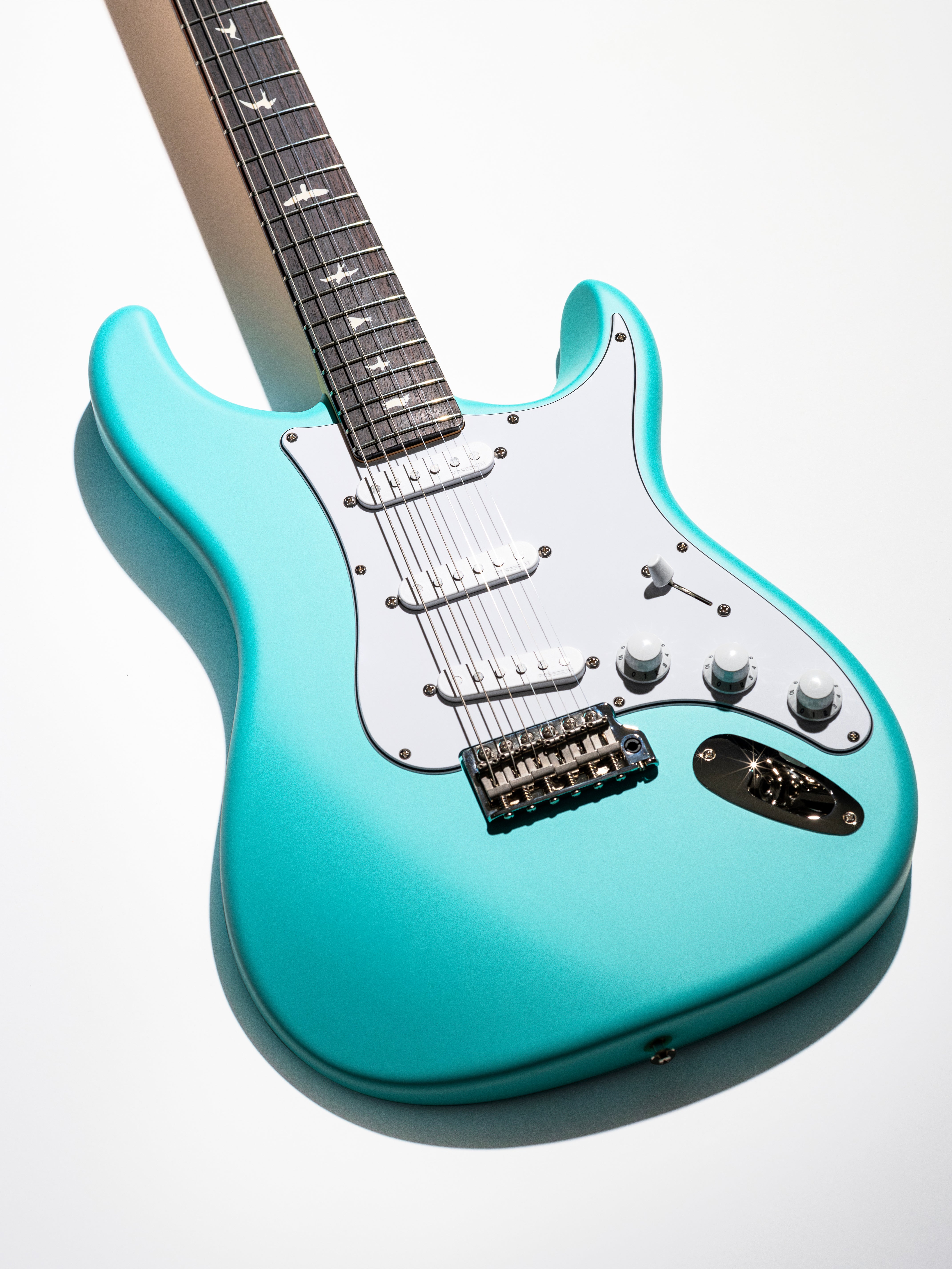 PRS Silver Sky Wild Blue Limited Edition 2026 | Wild Blue – The