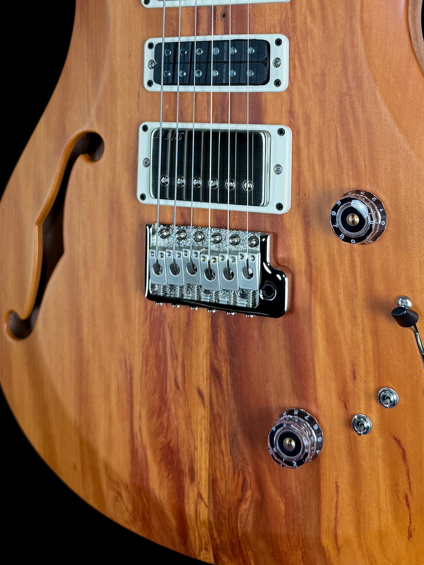 PRS S2 Special Semi-Hollow Reclaimed Limited Edition | Natural