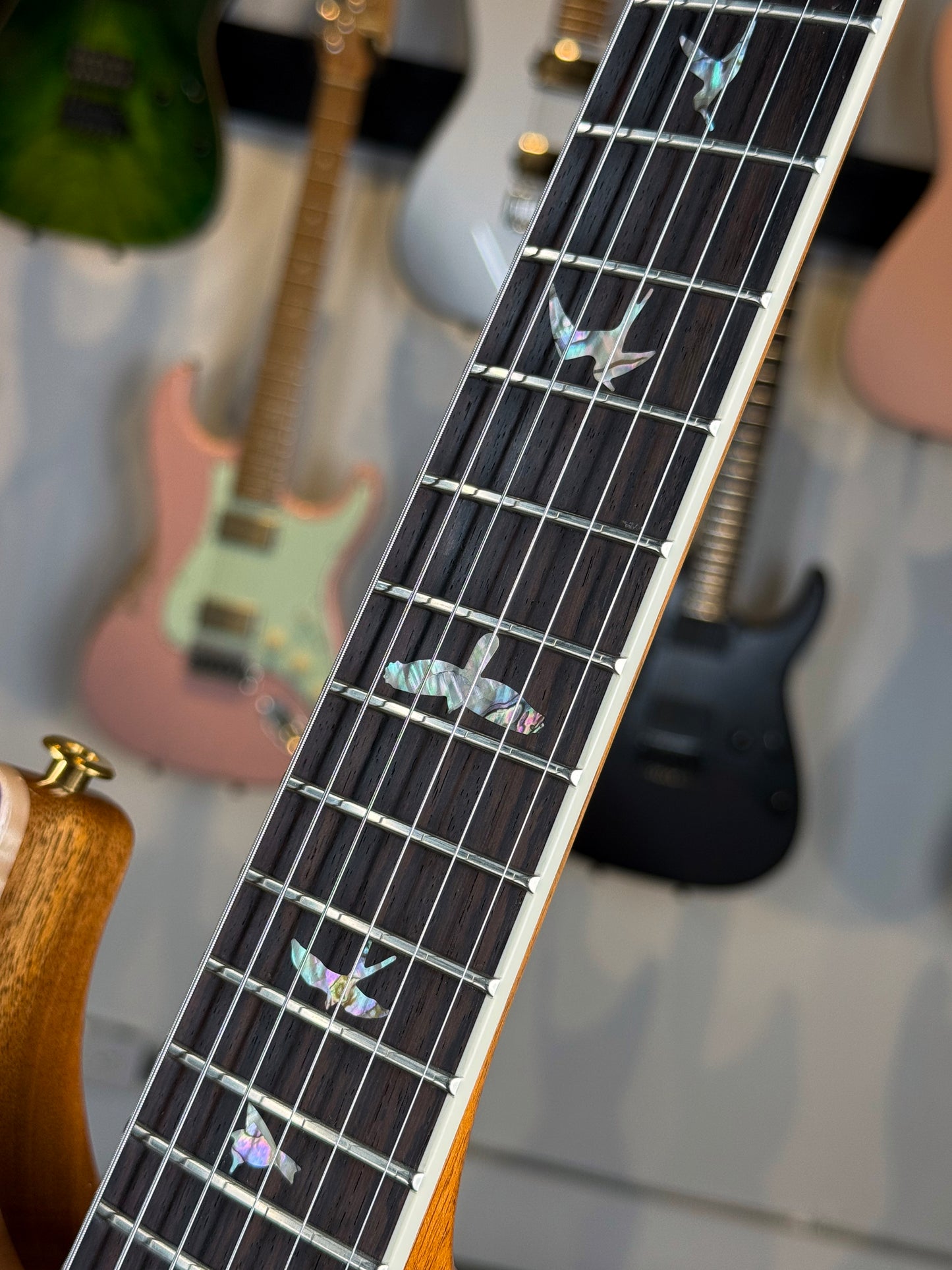 PRS McCarty 594 "10 Top" | Aurora Borealis Custom Color