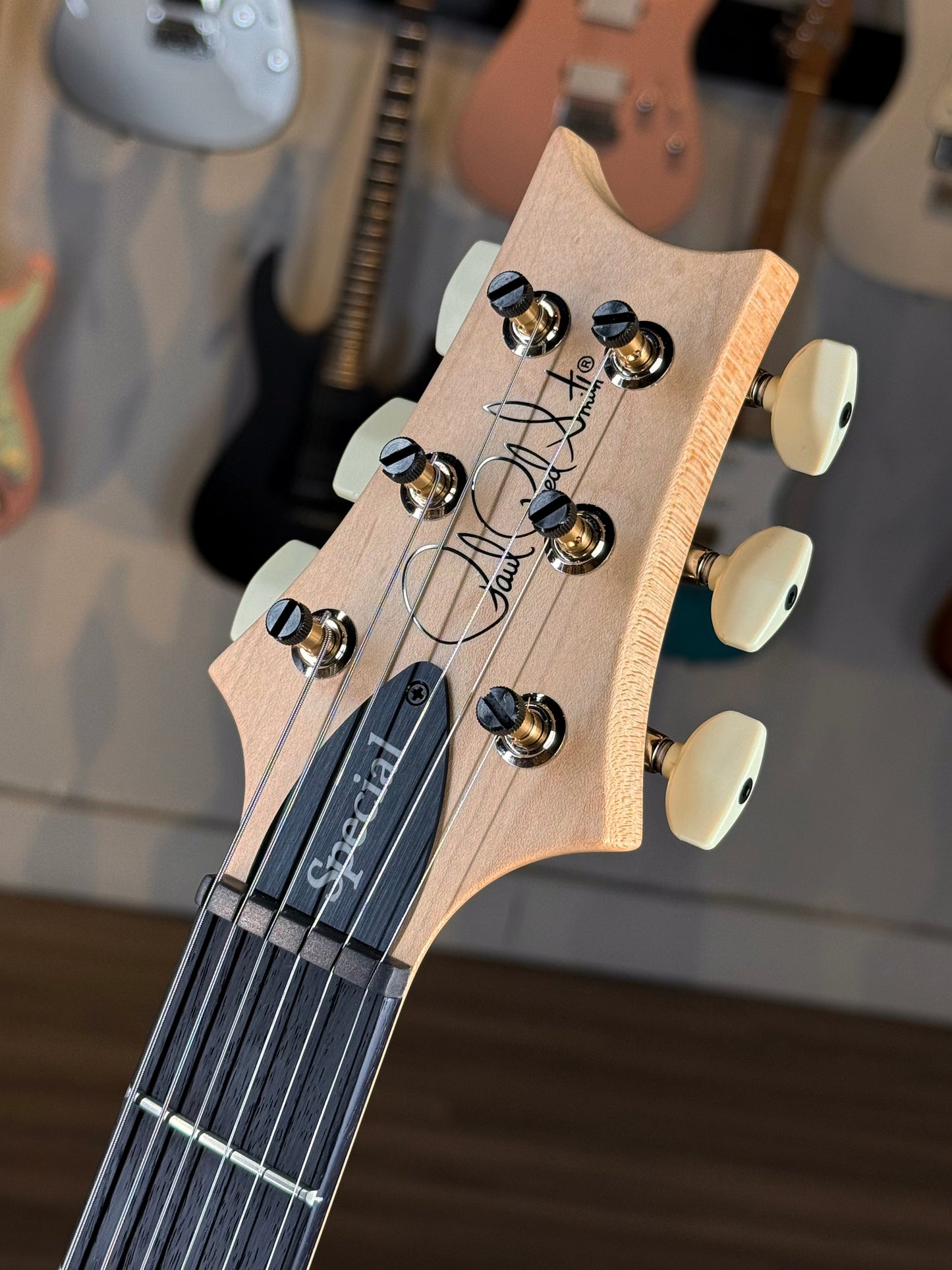 PRS CE 24 Special Sprayer's Choice | Blue/Green Sparkle