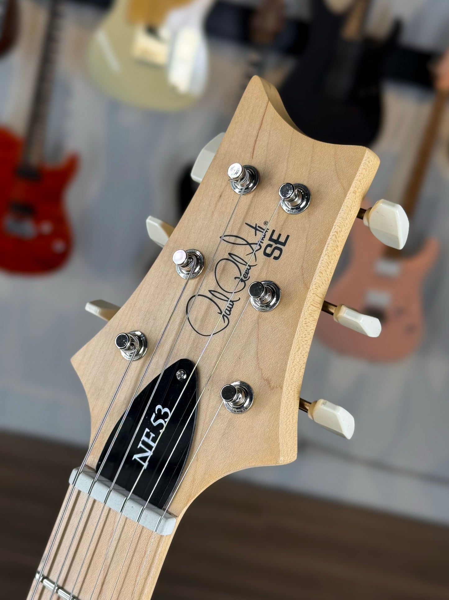 PRS SE NF 53 | Black Doghair