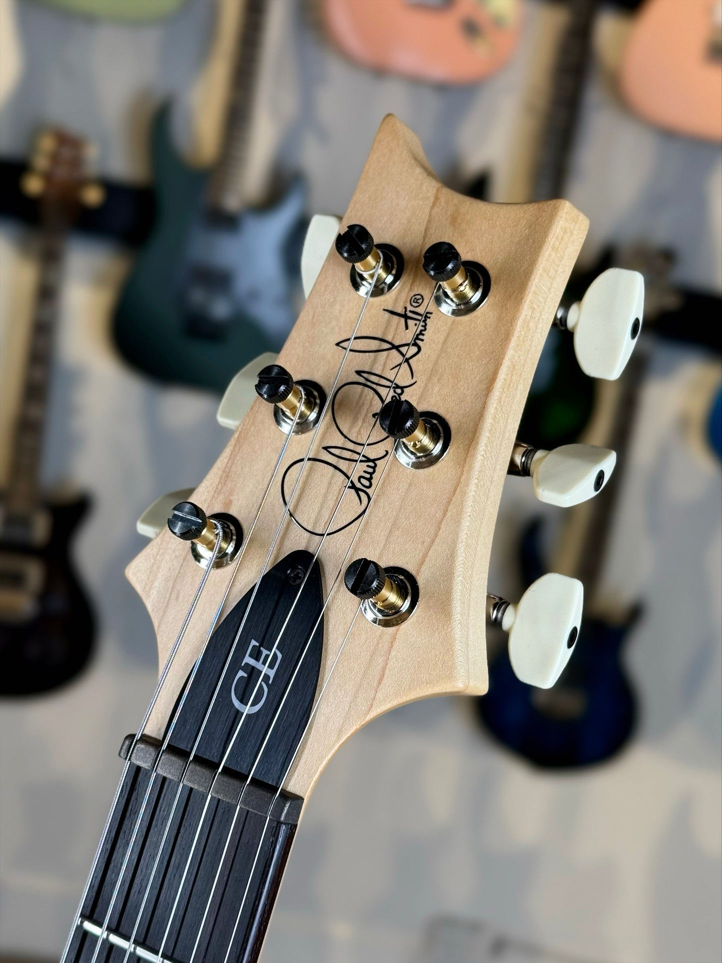 PRS CE 24 Sprayer's Choice | Purple Gold Sparkle