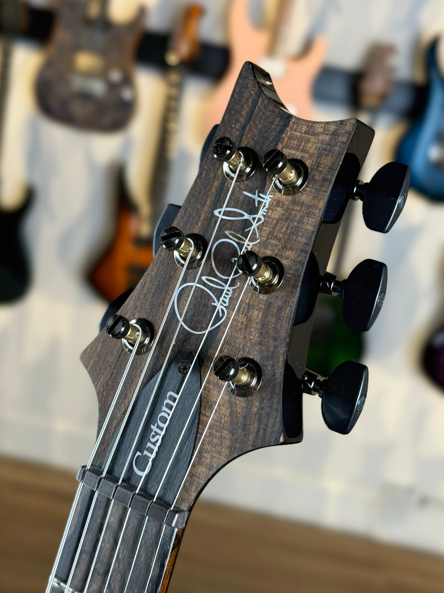 PRS Custom 24-08 "10 Top" Wood Library Limited Edition | Private Stock Sage/Natural Back