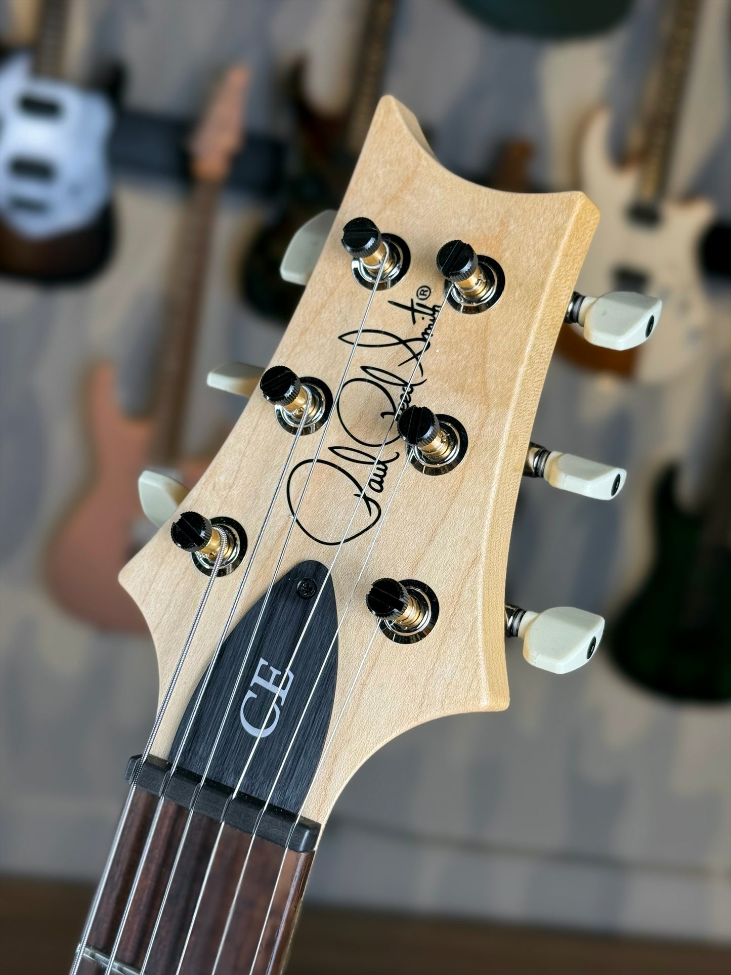PRS CE 24 | Faded Gray Black Purple Burst