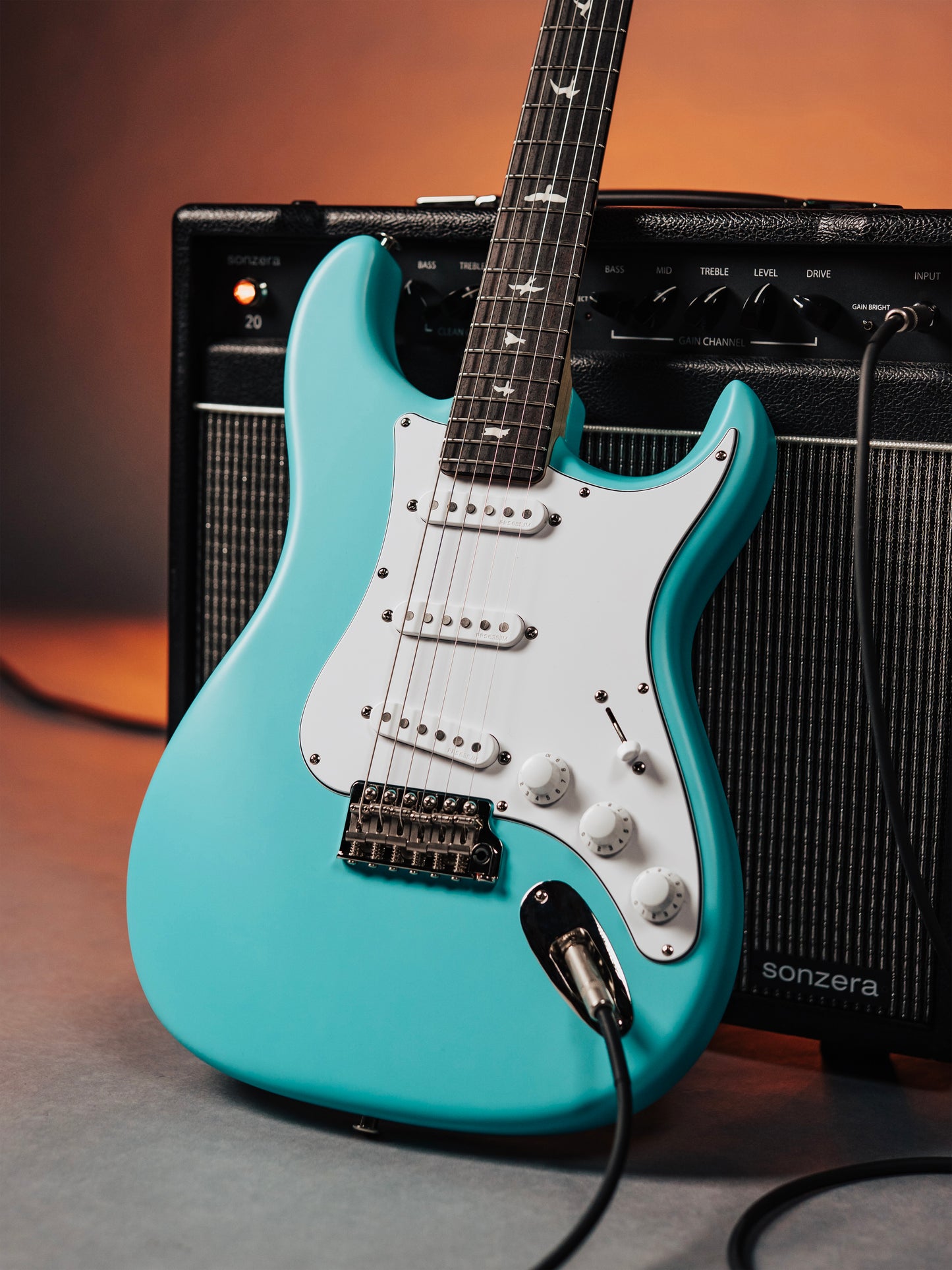 PRS Silver Sky Wild Blue Limited Edition 2026 | Wild Blue